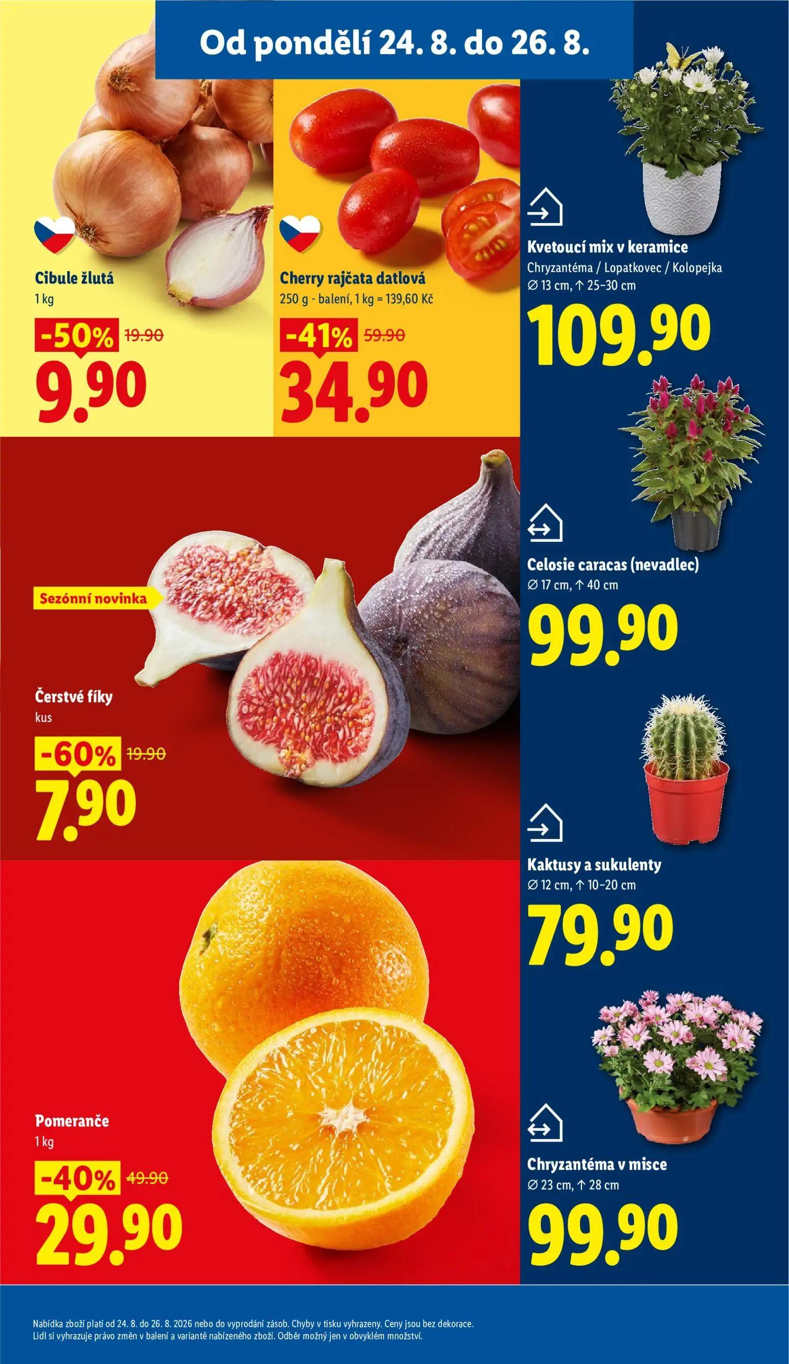 Lidl leták, strana 13 z 52