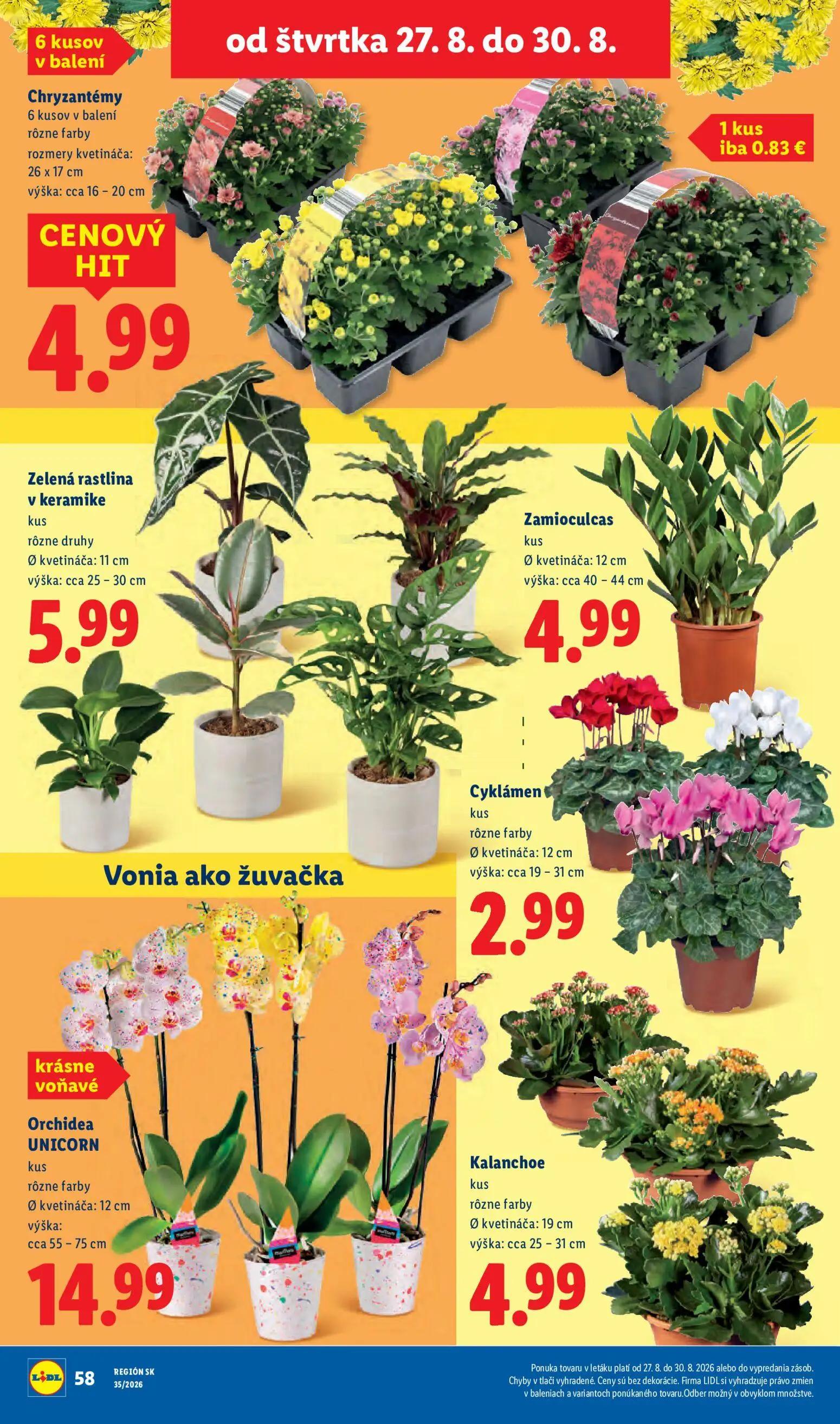 Lidl leták, strana 52 z 99