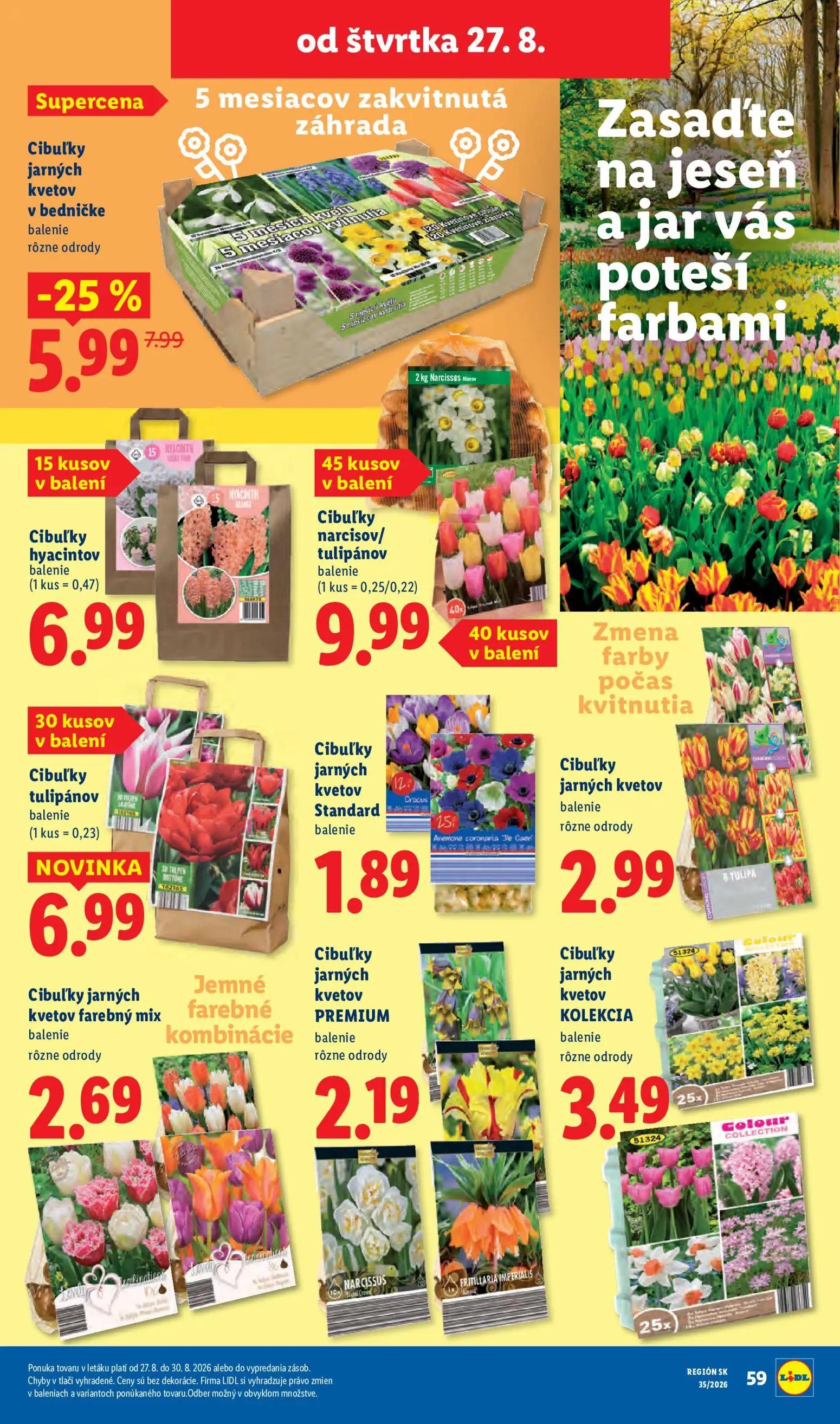 Lidl leták, strana 53 z 99 — Cibuľky jarných kvetov v bedničke, Cibuľky hyacintov, Cibuľky narcisov/tulipánov