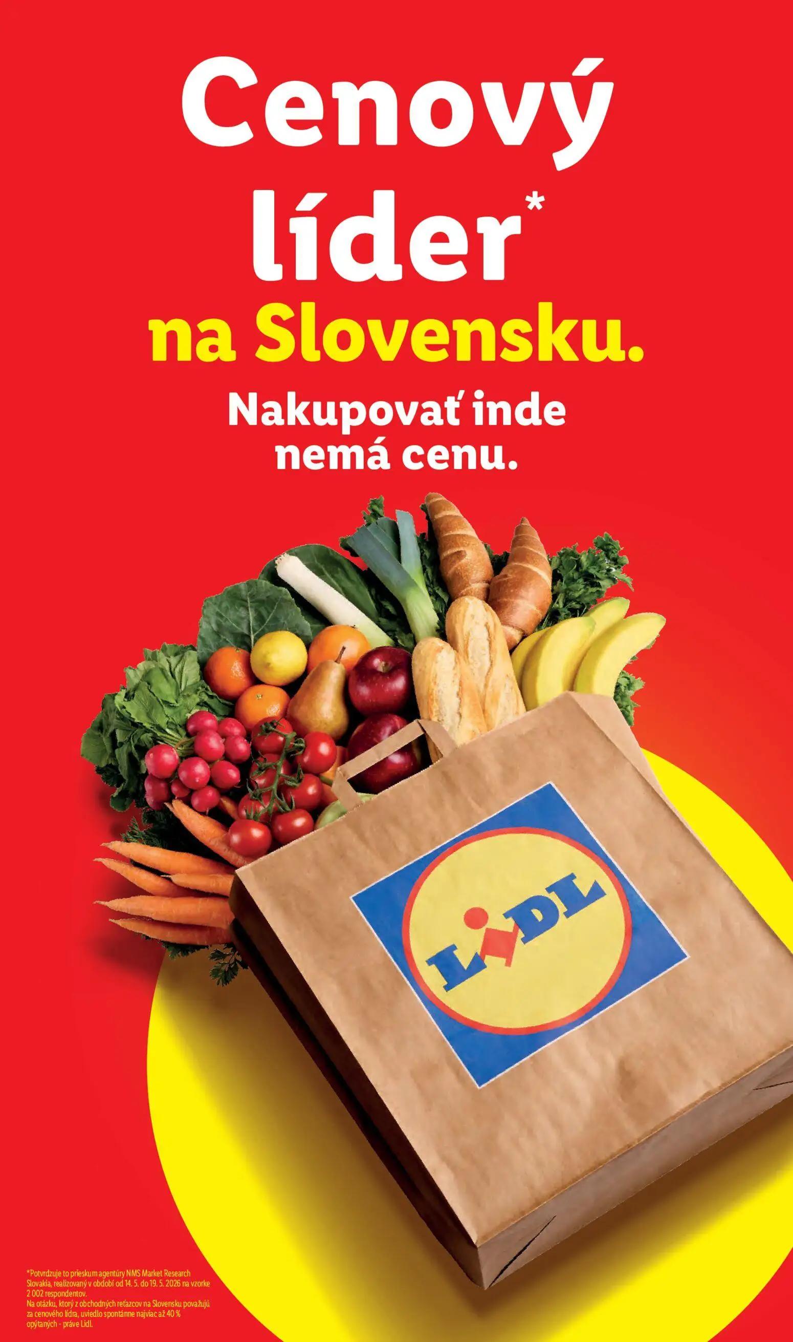 Lidl leták, strana 54 z 99