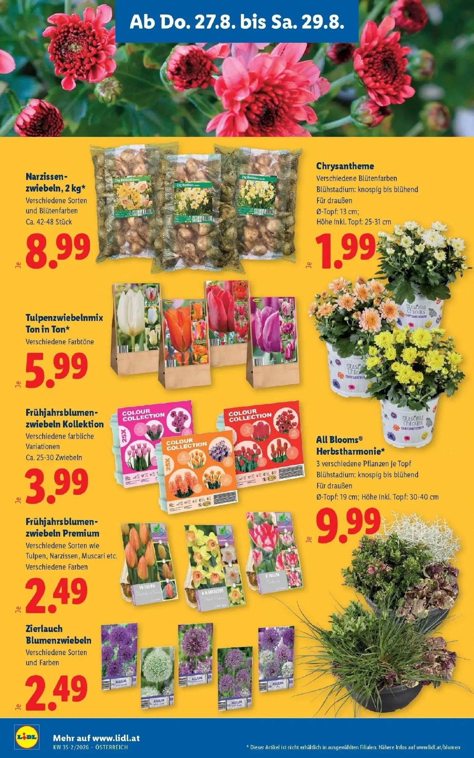Lidl Prospekt, Seite 26 von 55