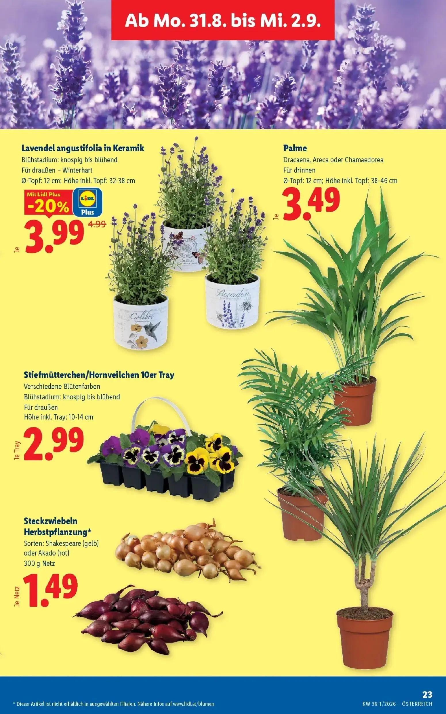 Lidl Prospekt, Seite 30 von 55