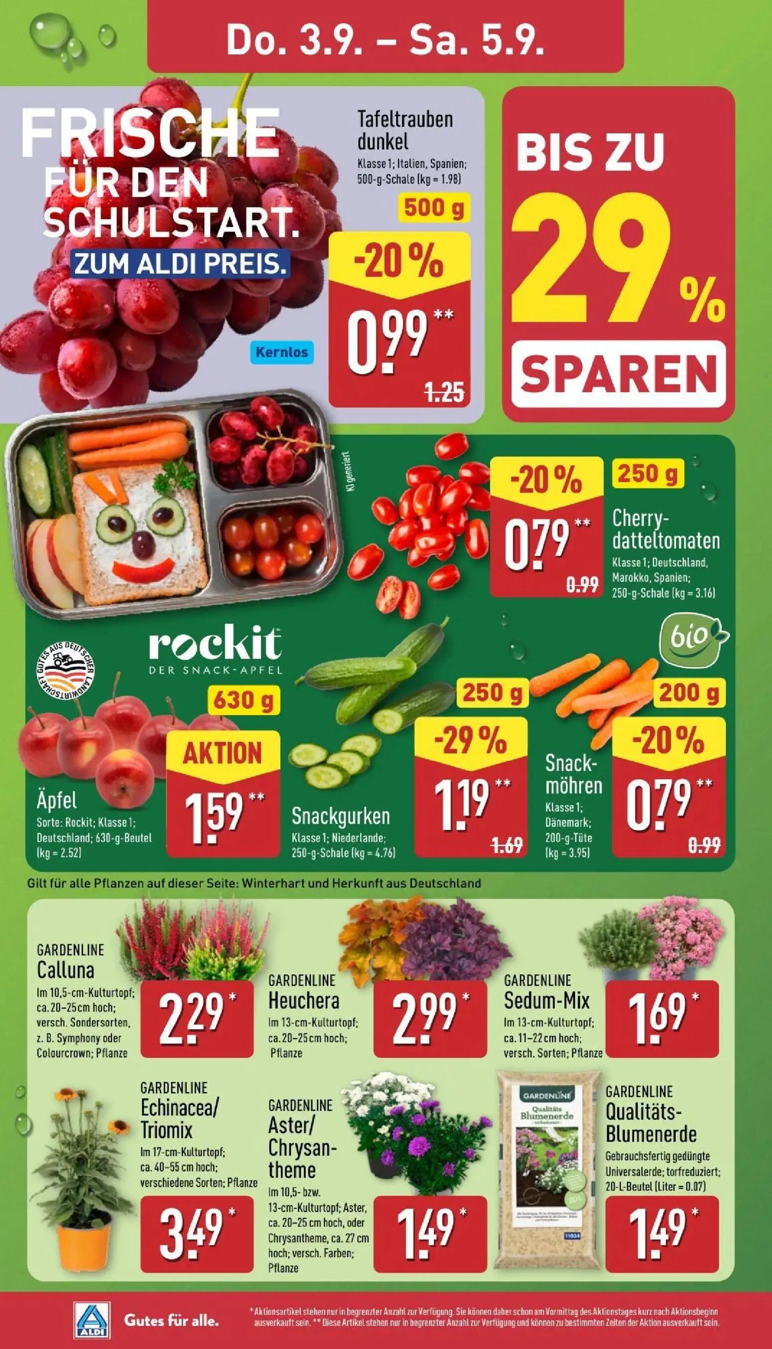 Aldi Nord Prospekt, Seite 26 von 39 — Calluna, Heuchera, Sedum-Mix