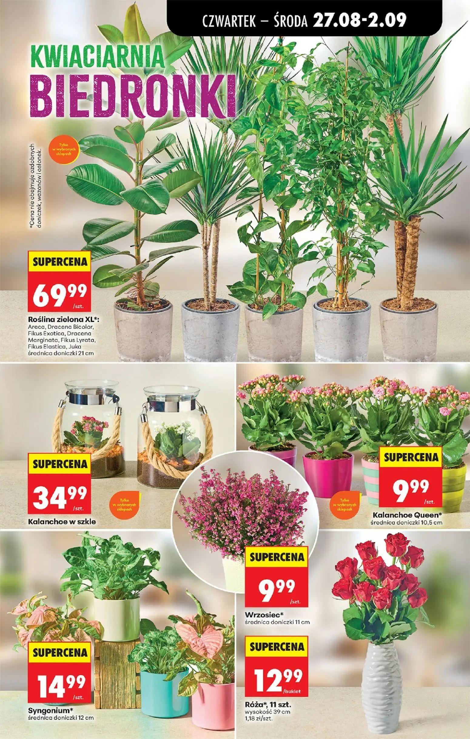 Biedronka gazetka, strona 79 z 89