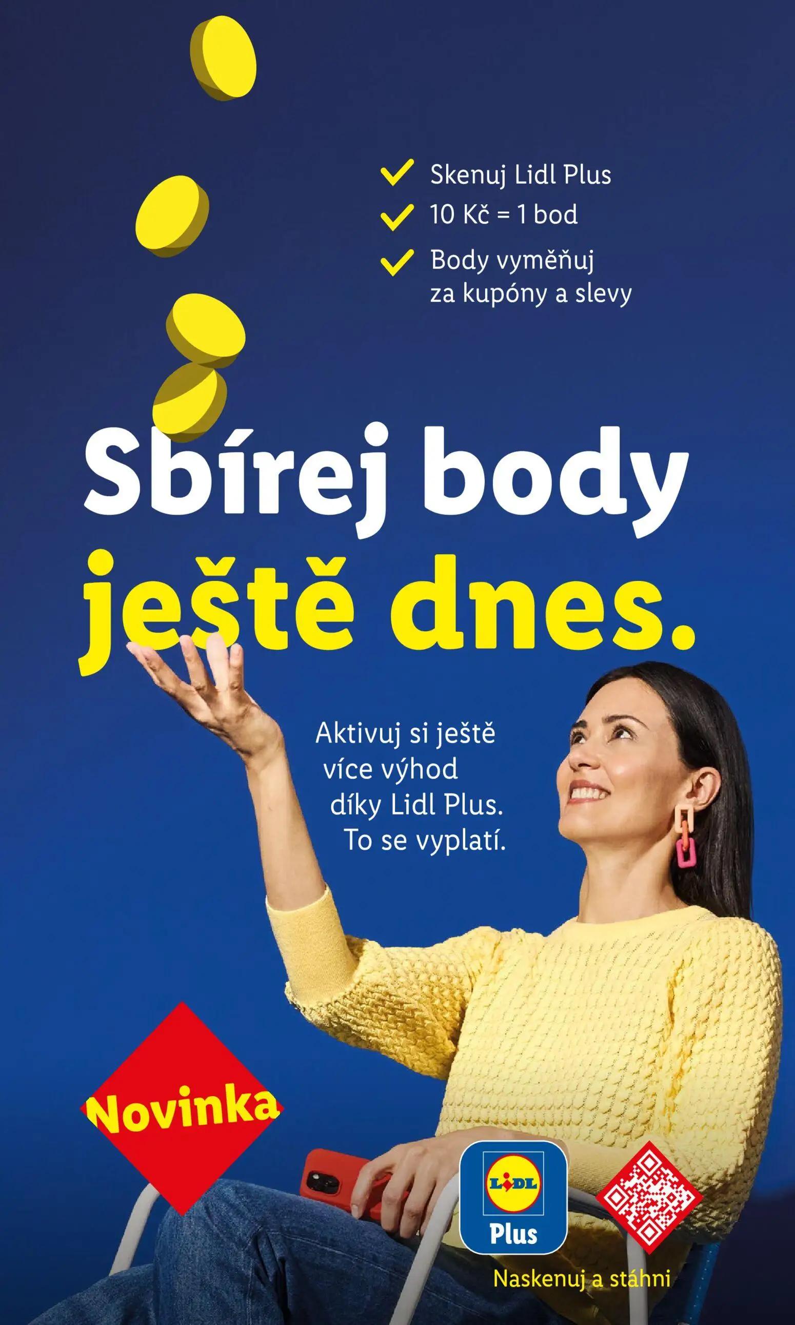 Lidl leták, strana 13 z 53
