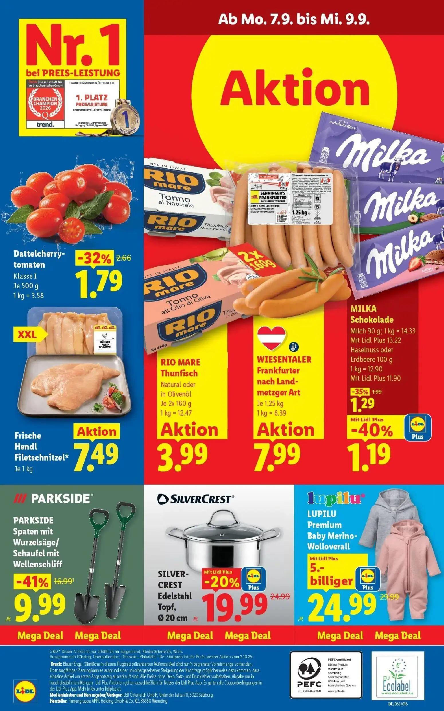 Lidl Prospekt, Seite 31 von 55