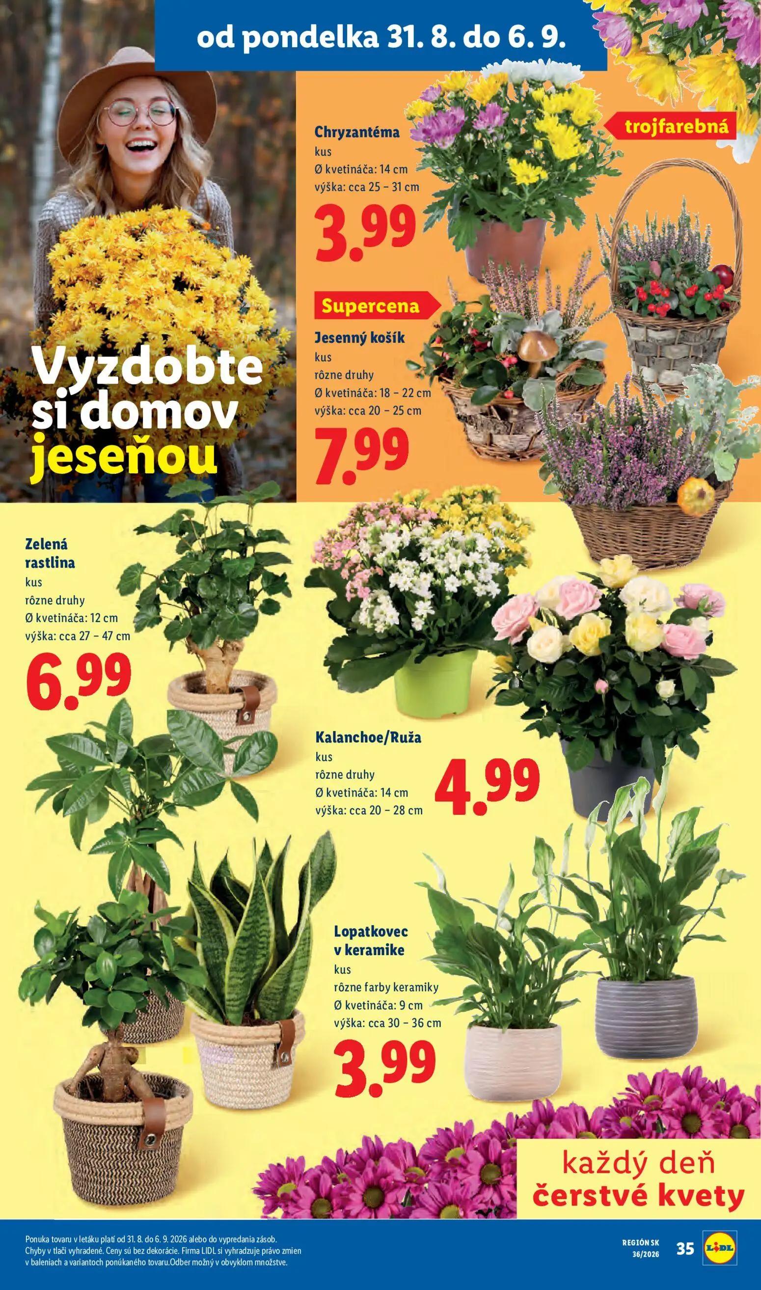 Lidl leták, strana 49 z 97