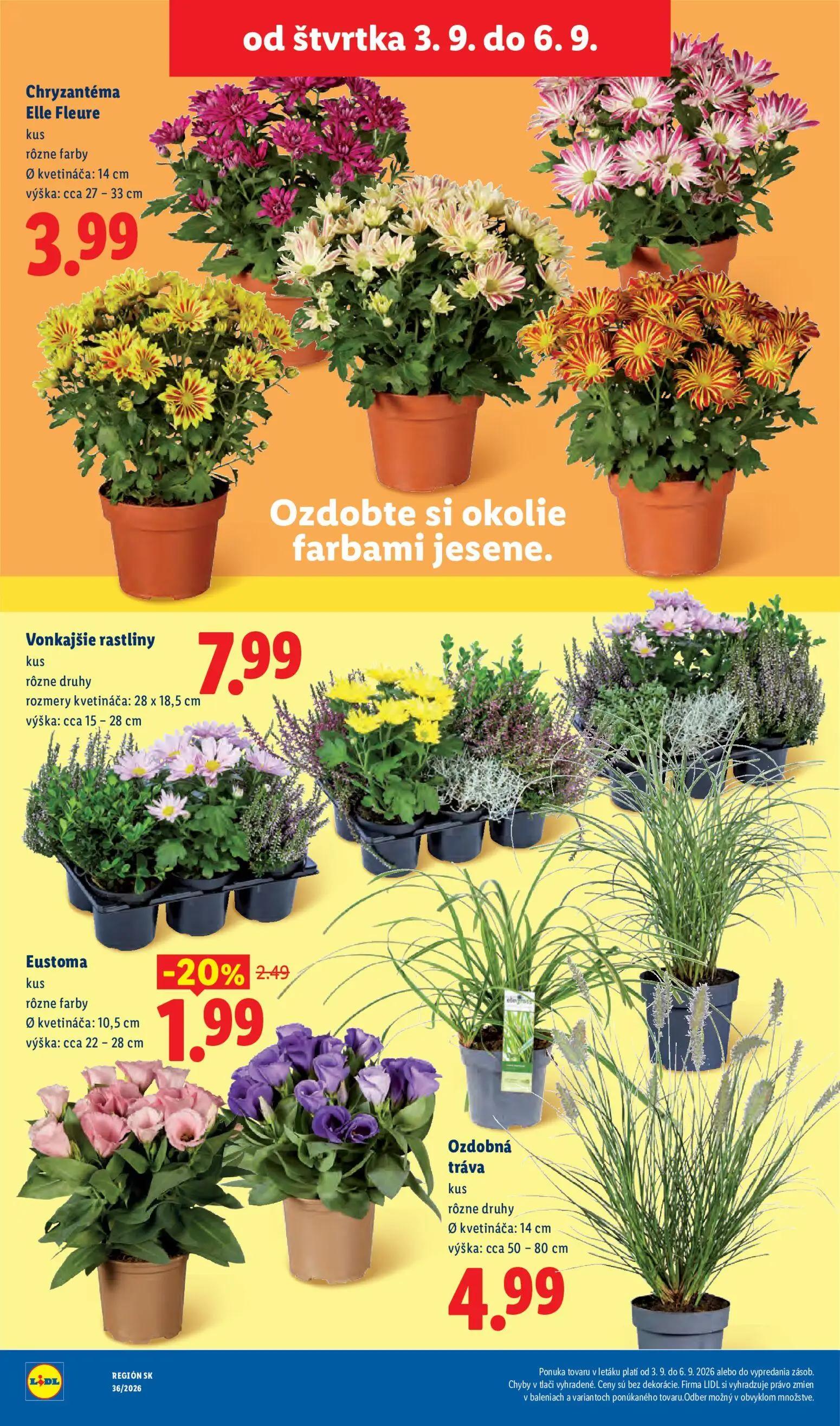Lidl leták, strana 90 z 97