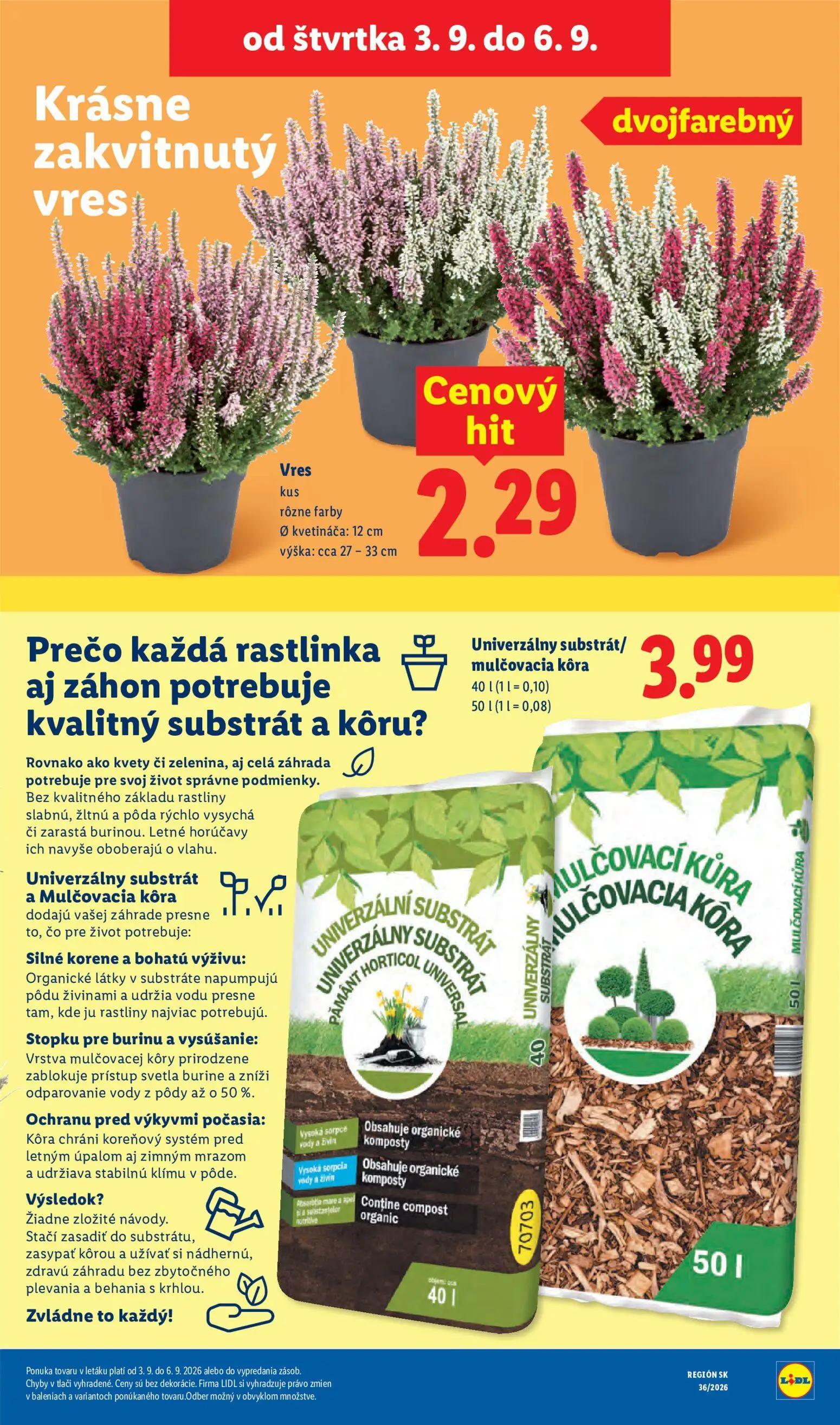 Lidl leták, strana 91 z 97