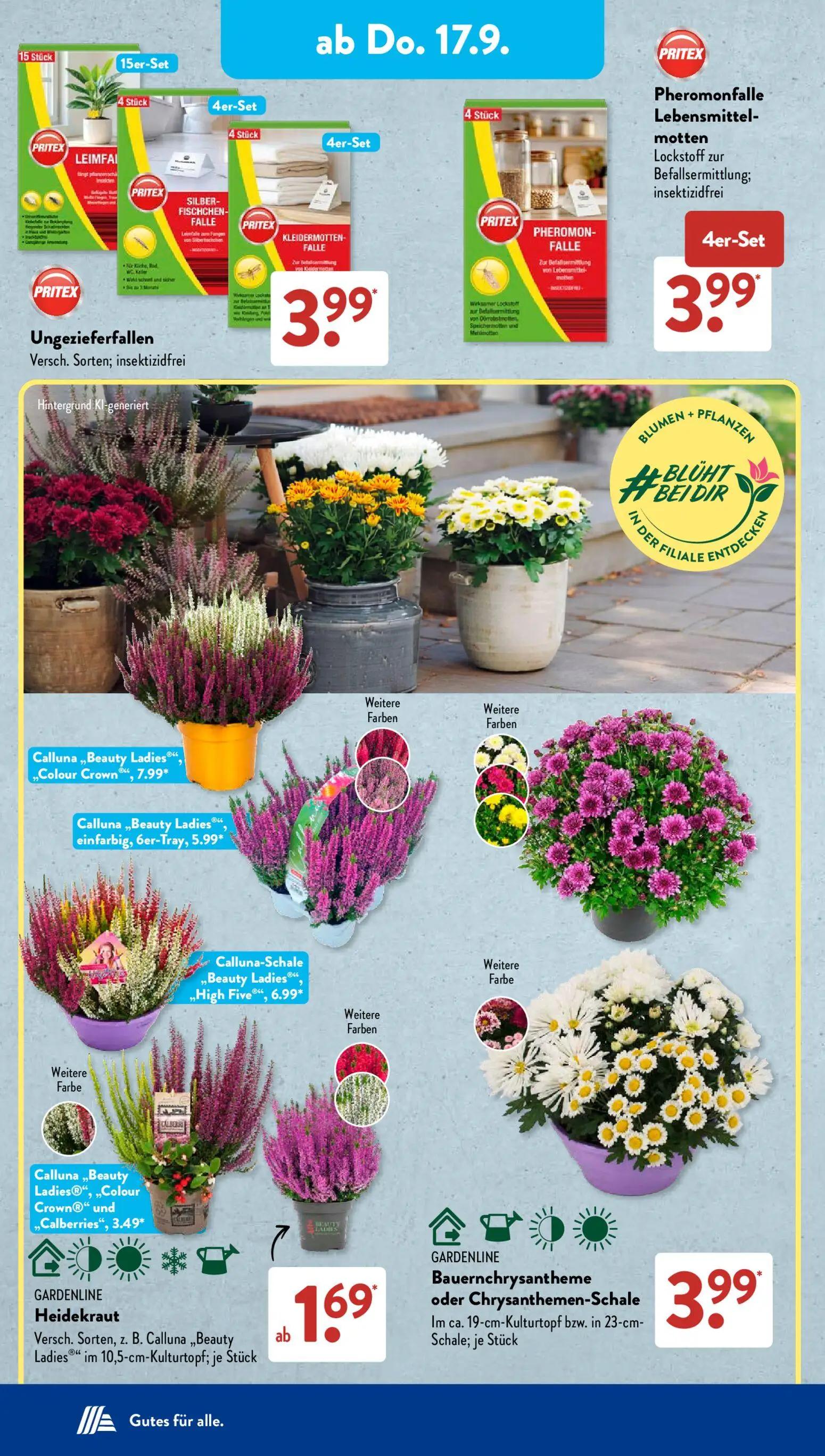Aldi Süd Prospekt, Seite 12 von 23 — Ungezieferfallen Versch. Sorten; insektizidfrei, Pheromonfalle Lebensmittel- motten Loc…