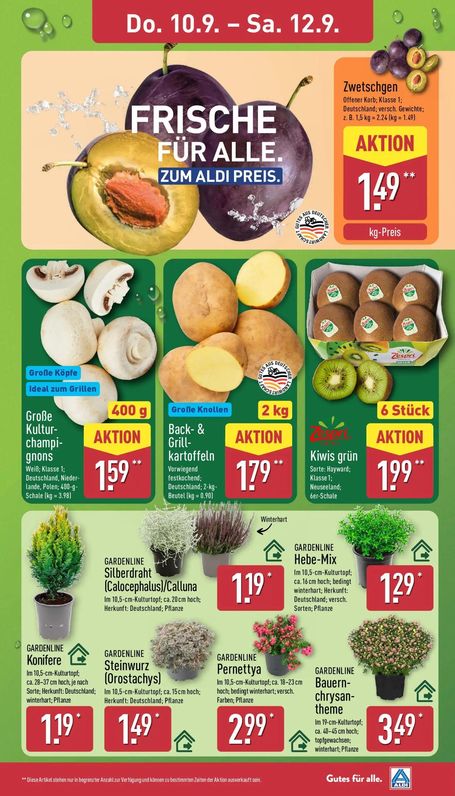 Aldi Nord Prospekt, Seite 27 von 40