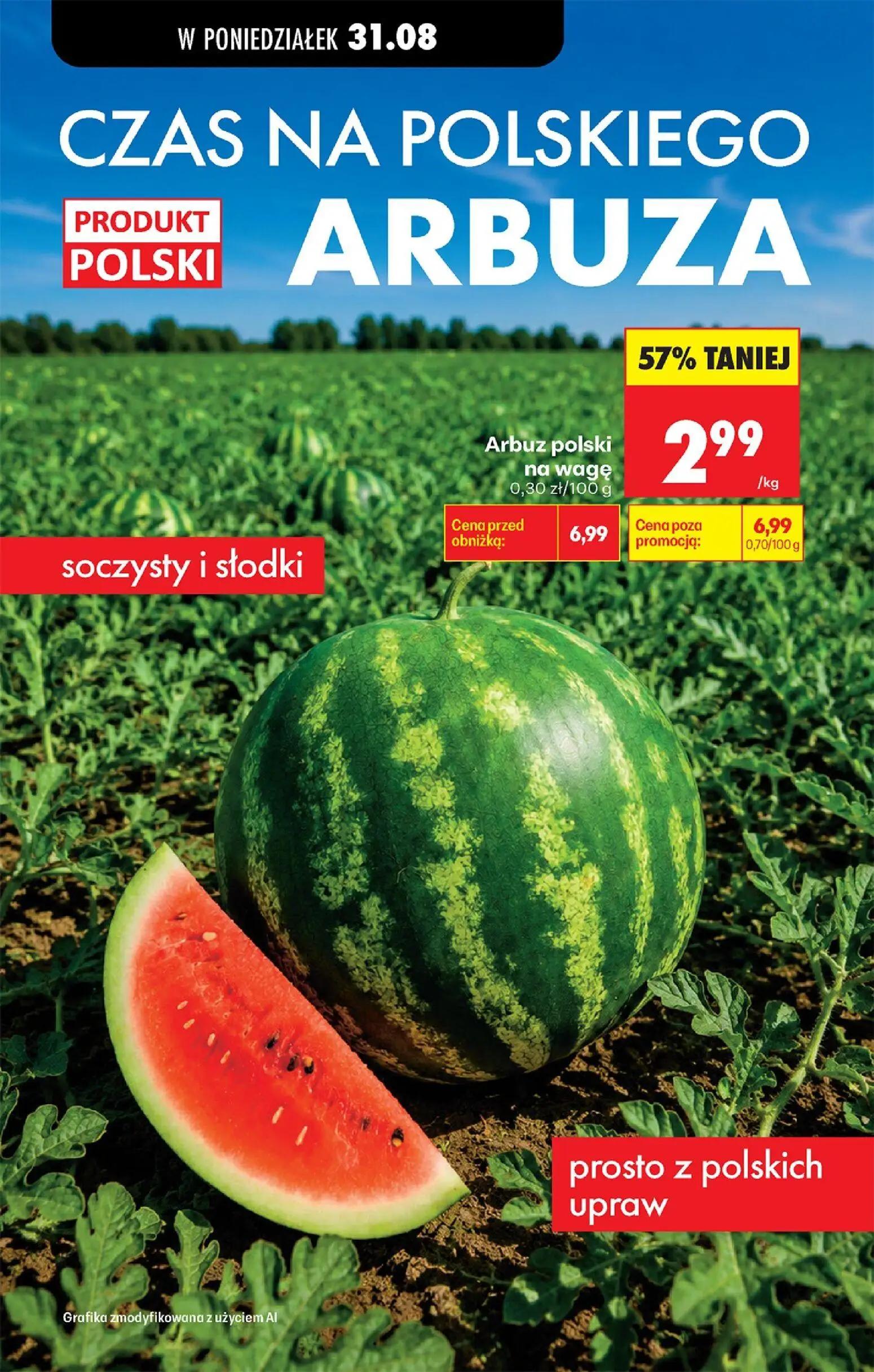 Biedronka gazetka, strona 109 z 113 — Arbuz polski