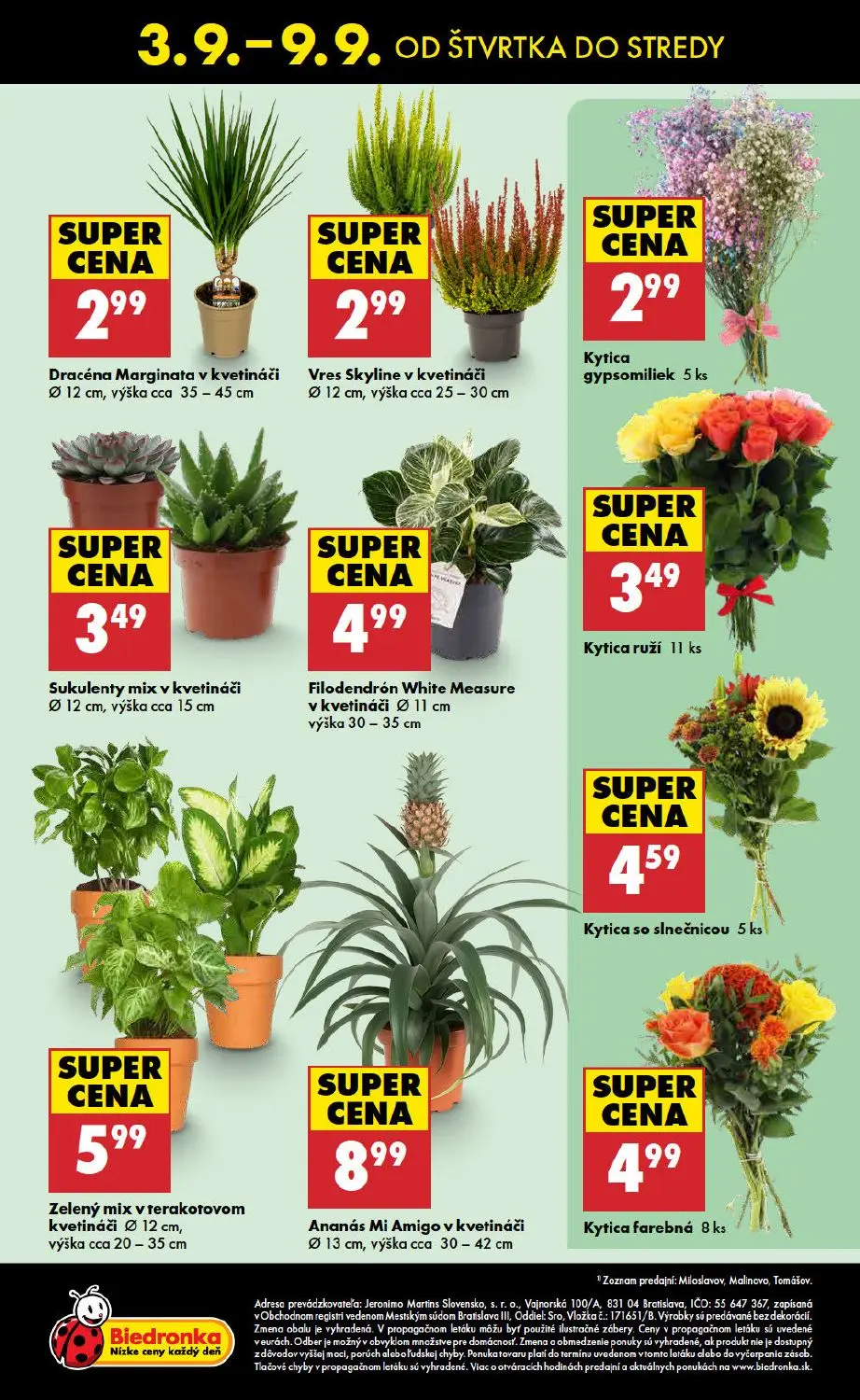 Biedronka leták, strana 48 z 48