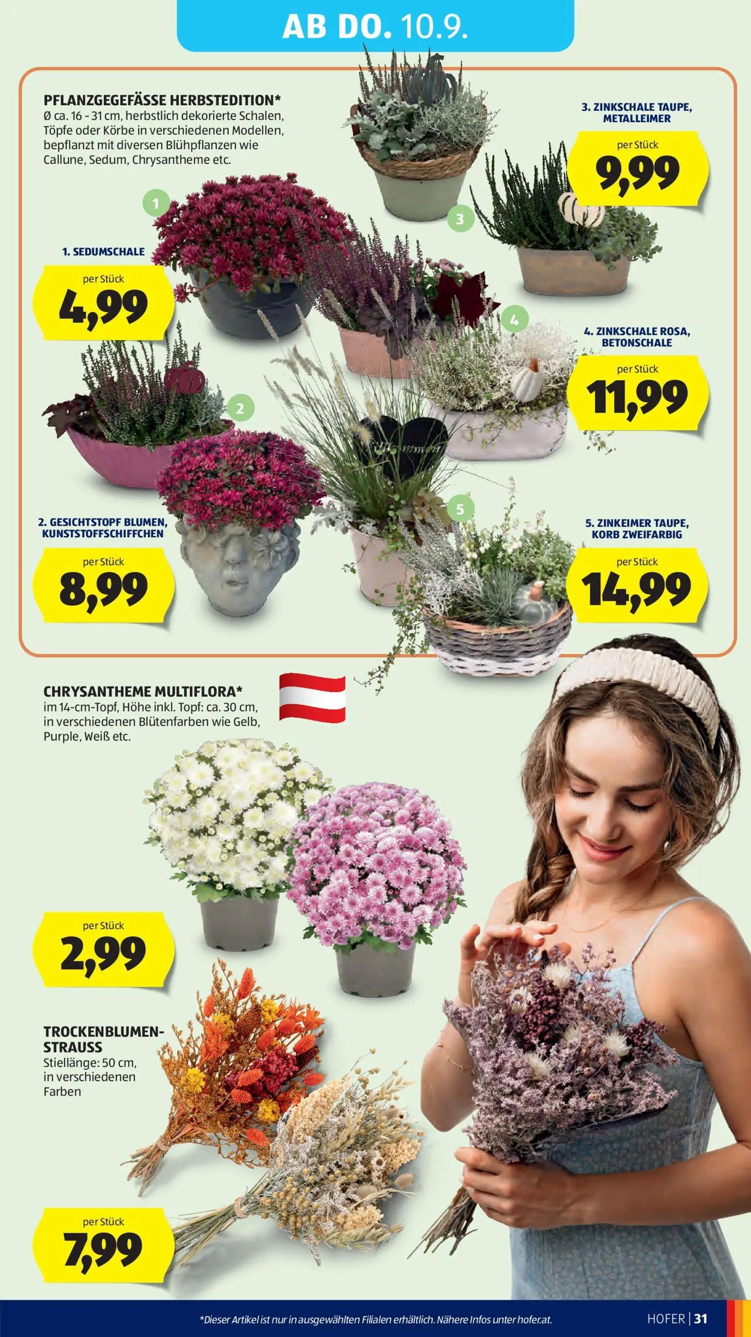 Hofer Prospekt, Seite 39 von 44