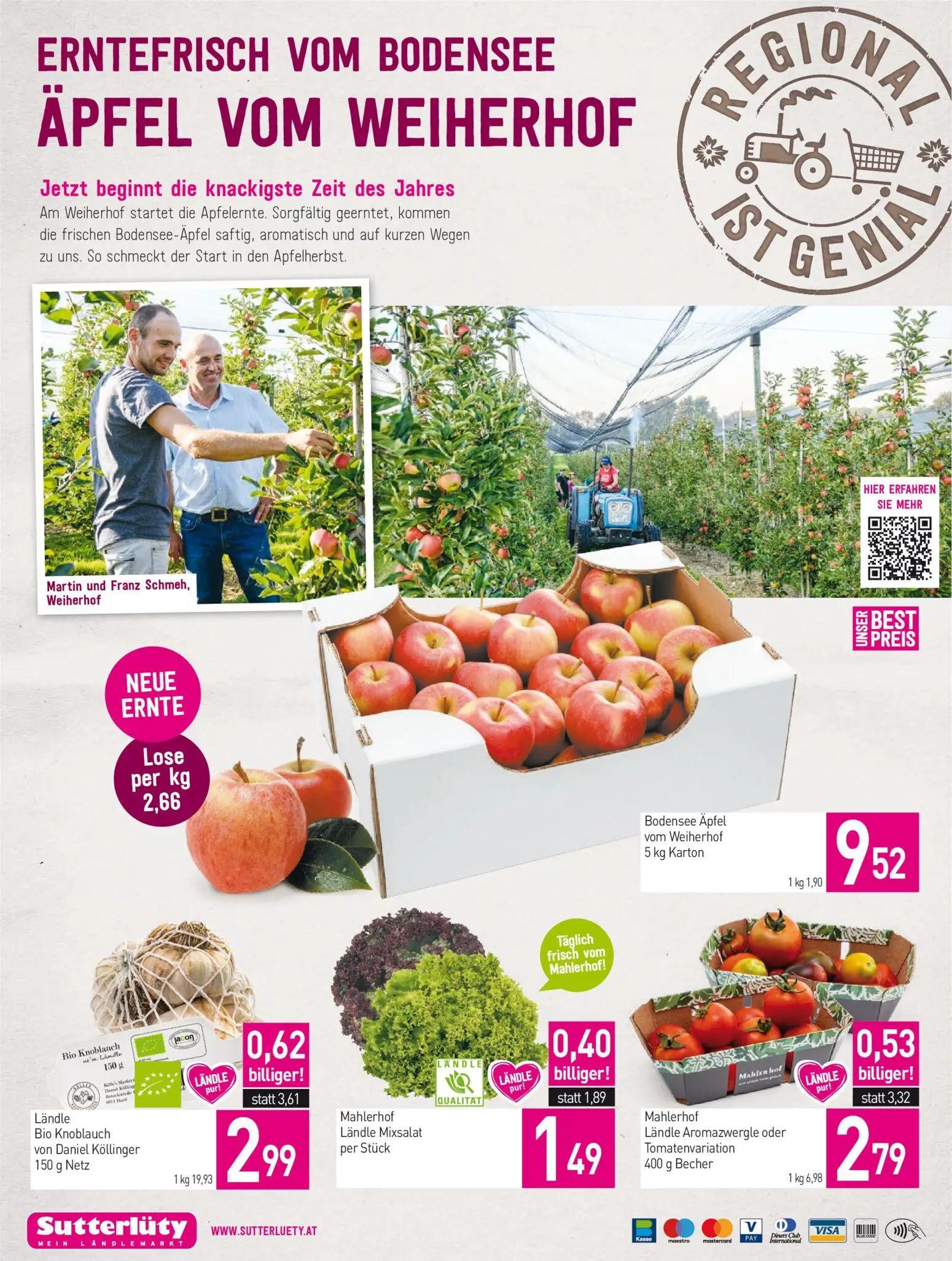 Sutterlüty Prospekt, Seite 16 von 16 — Bio Knoblauch von Daniel Köllinger, Mahlerhof Ländle Aromazwergle oder Tomatenvariati…