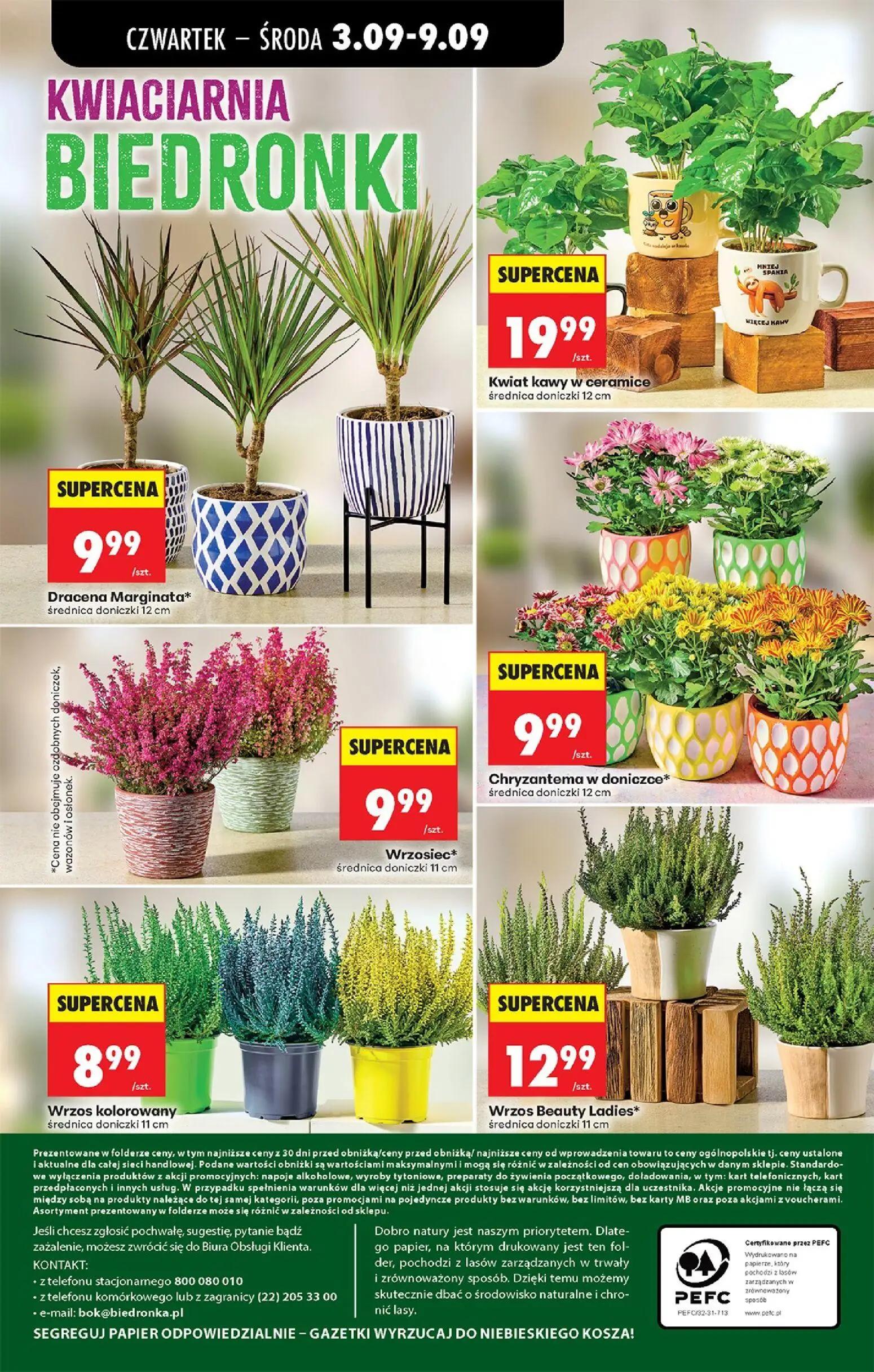 Biedronka gazetka, strona 75 z 75
