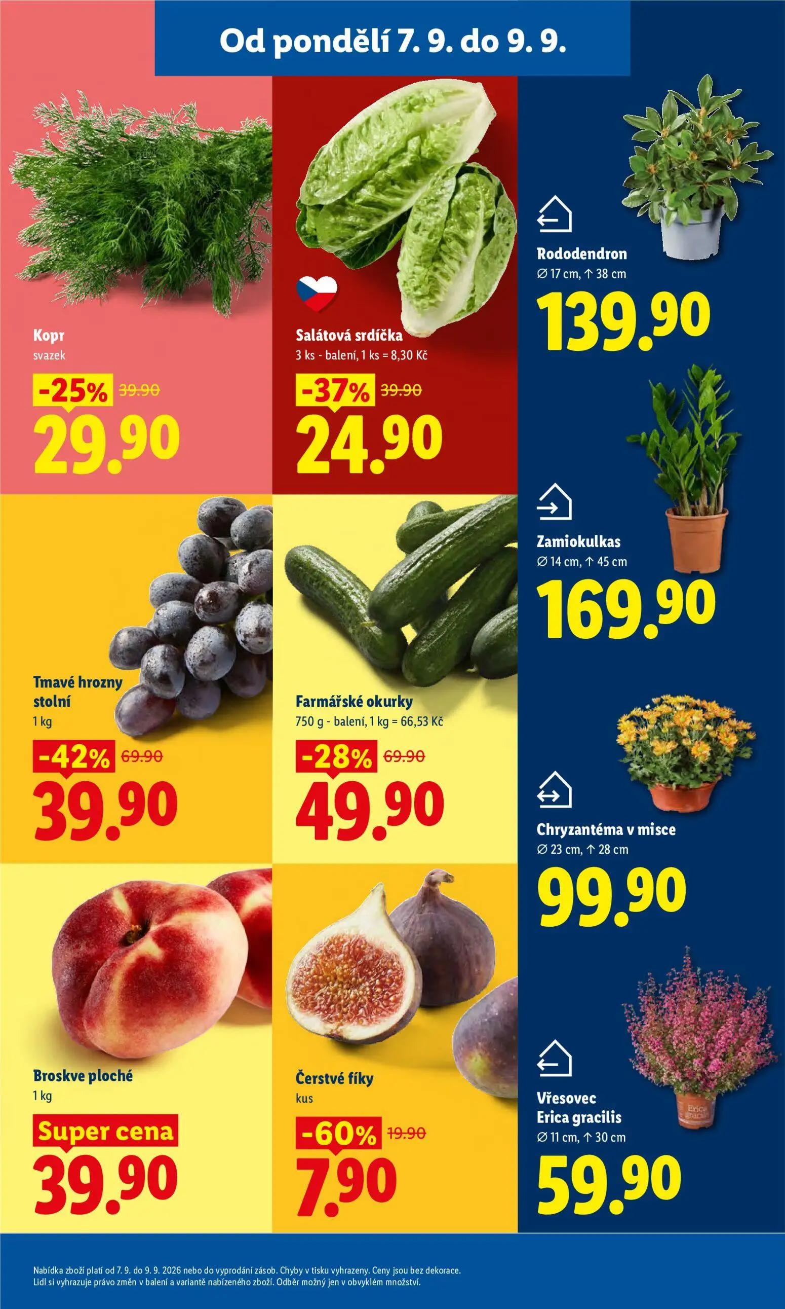 Lidl leták, strana 15 z 49 — Tmavé hrozny stolní, Farmářské okurky, Salátová srdíčka