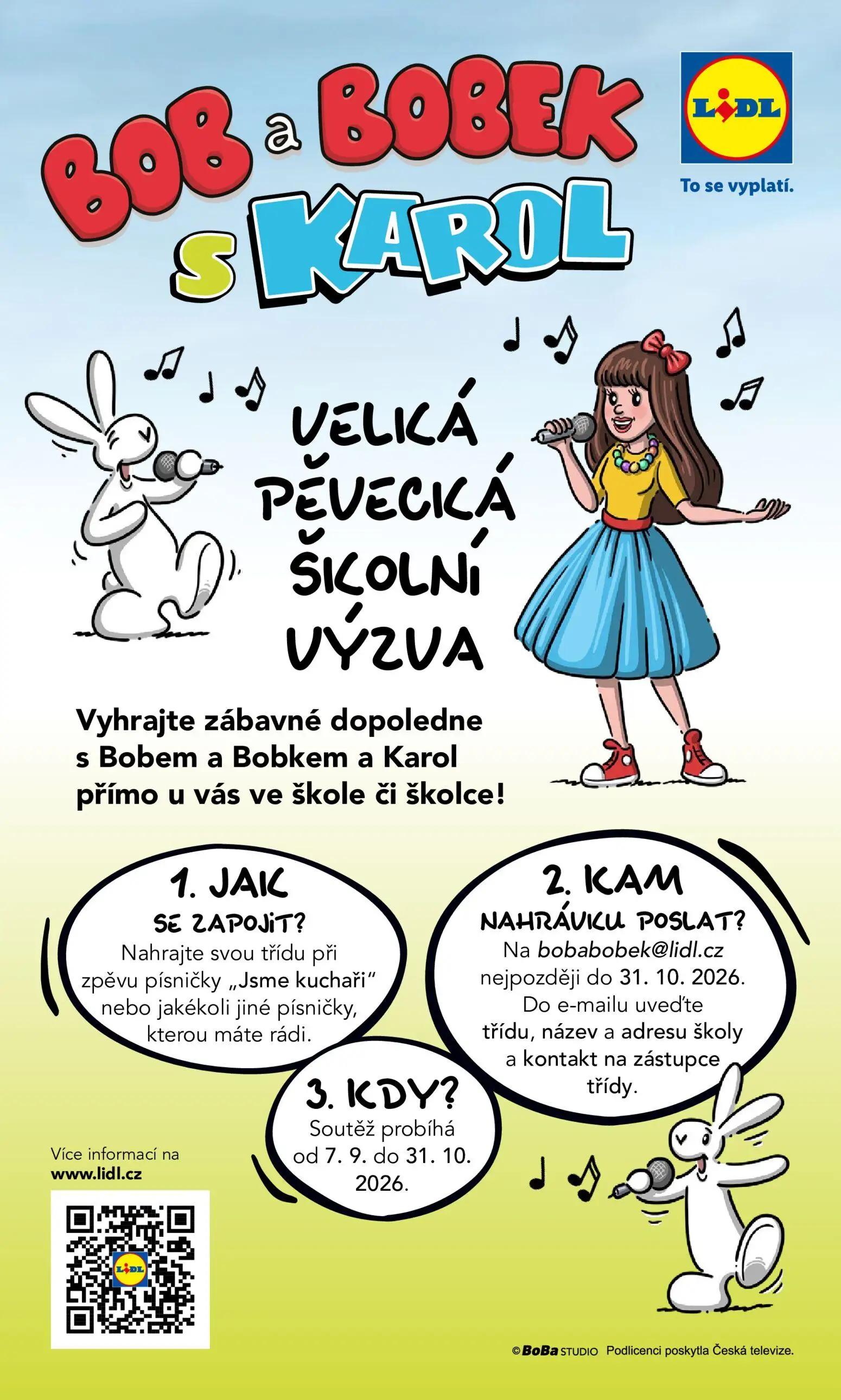 Lidl leták, strana 48 z 49