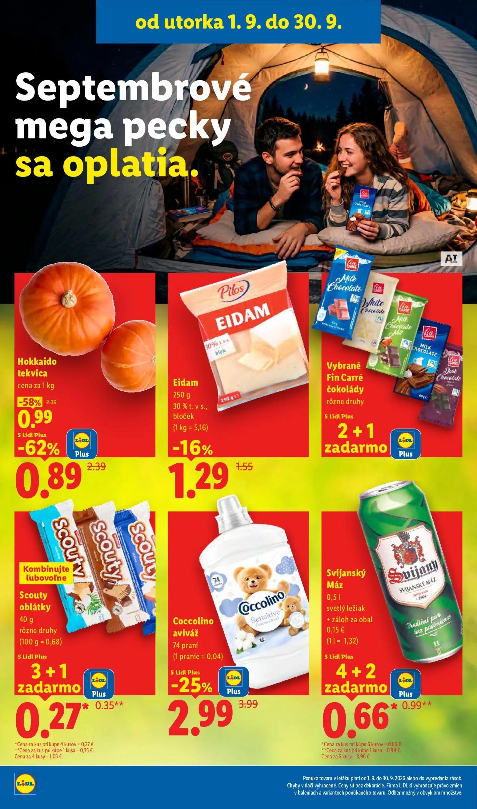 Lidl leták, strana 42 z 100