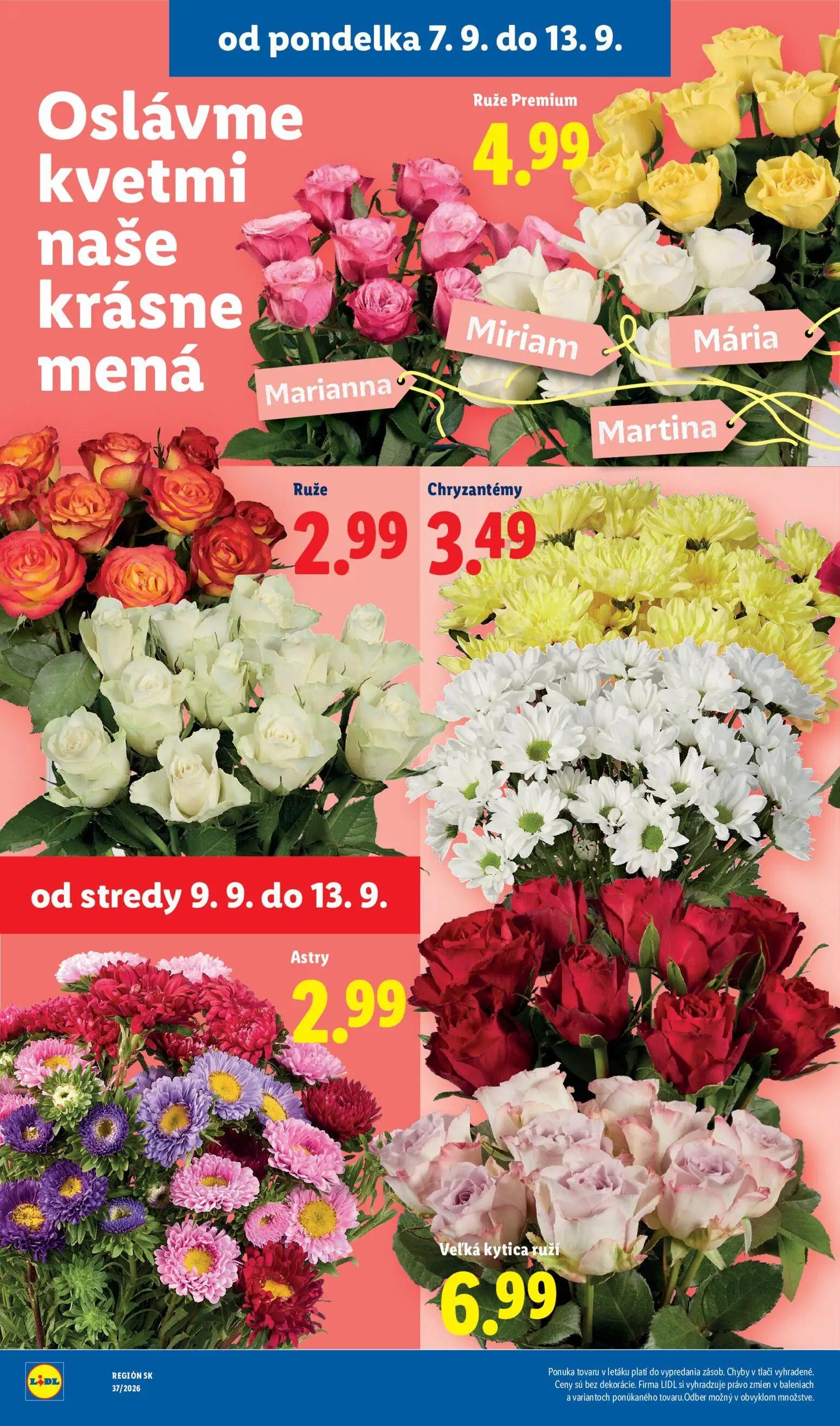 Lidl leták, strana 44 z 100 — Ruže Premium, Ruže, Chryzantémy