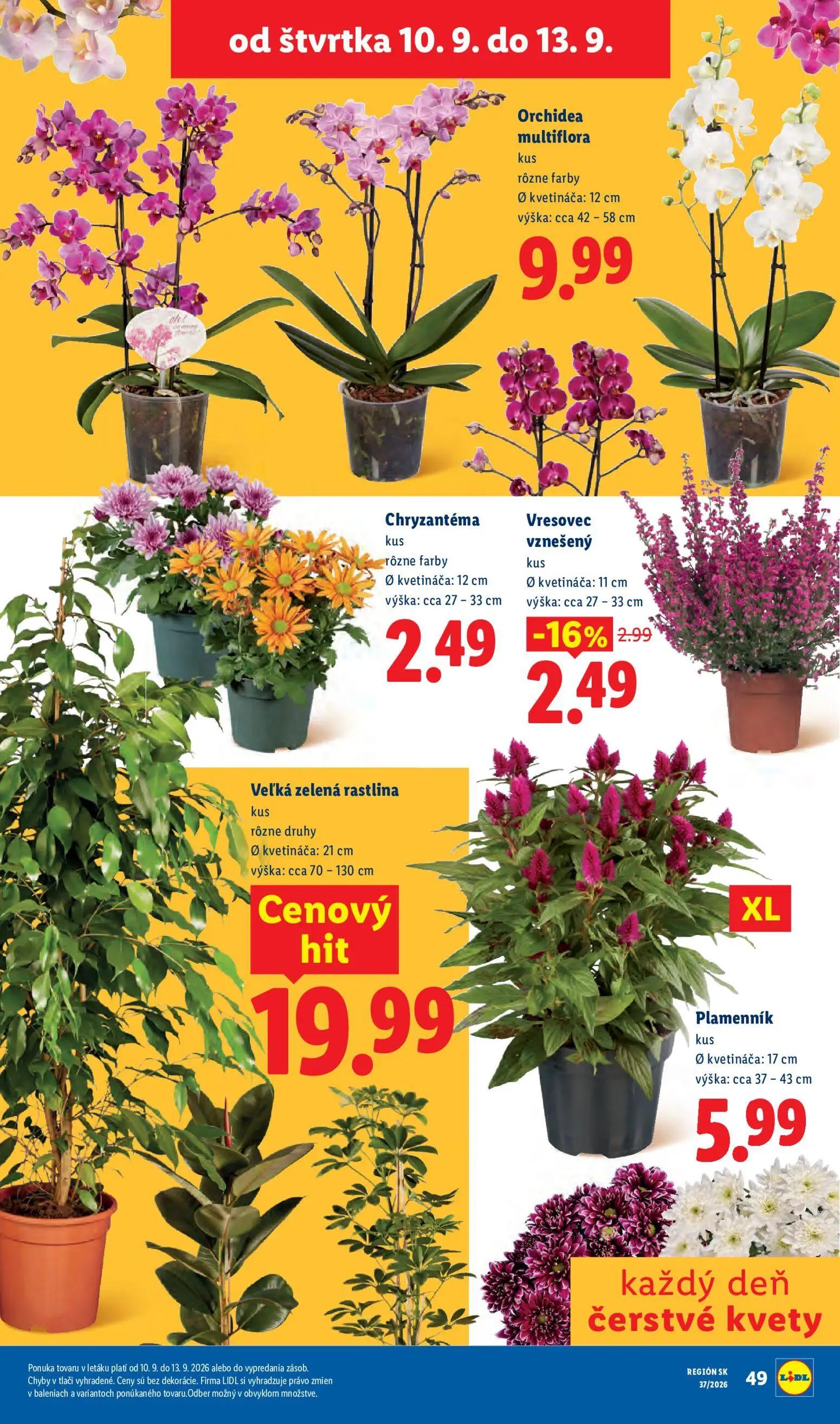 Lidl leták, strana 75 z 100