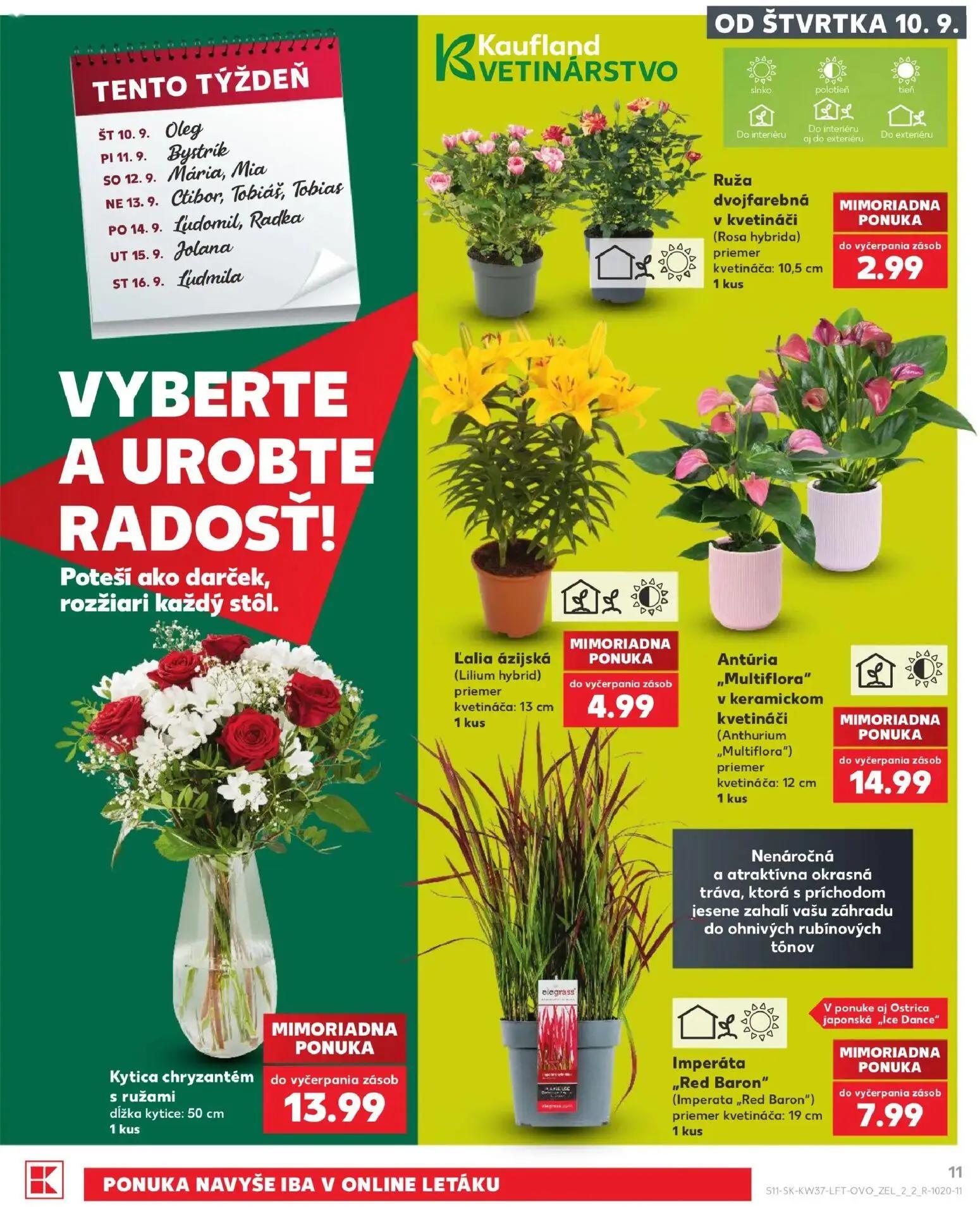 Kaufland leták, strana 11 z 84 — Ruža dvojfarebná v kvetináči (Rosa hybrida), Ľalia ázijská (Lilium hybrid)