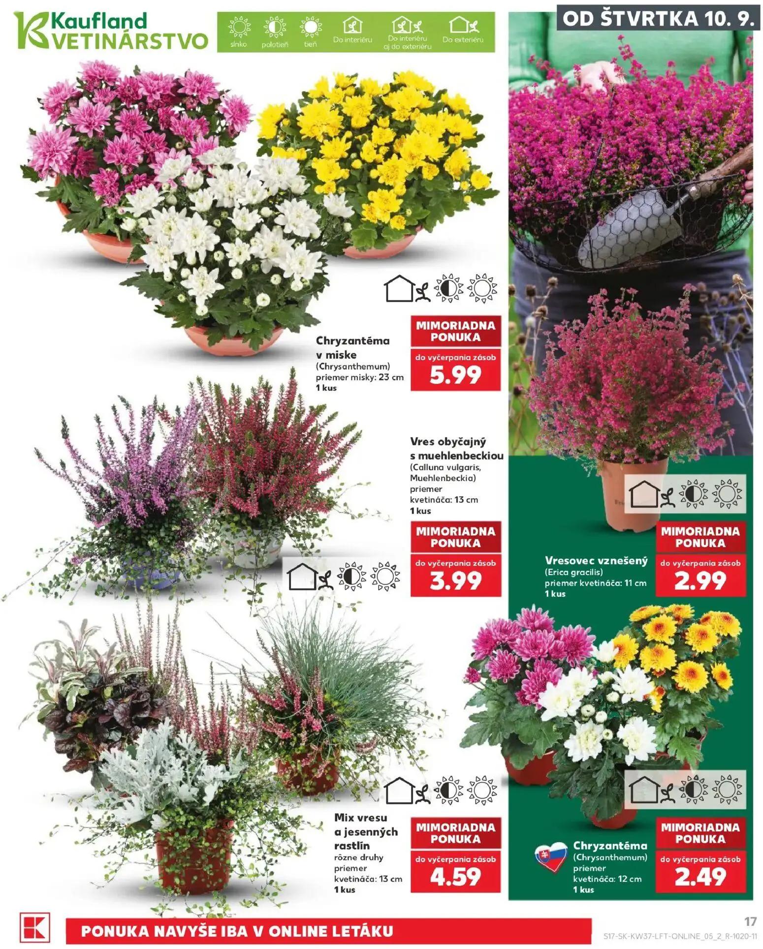 Kaufland leták, strana 17 z 84