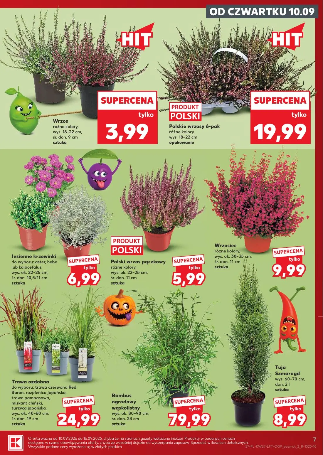 Kaufland gazetka, strona 7 z 65