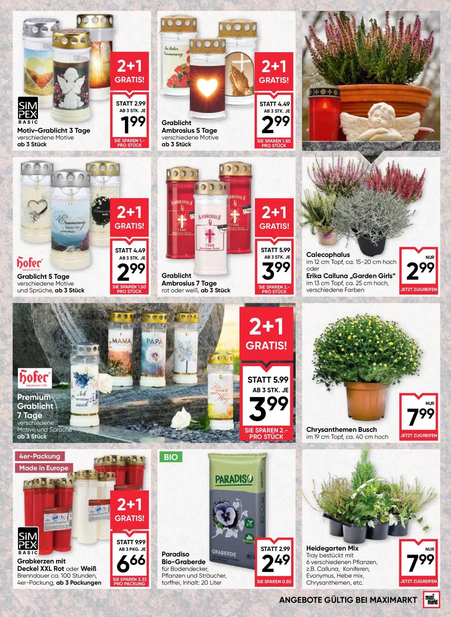 Maximarkt Prospekt, Seite 17 von 24 — Grabkerzen mit Deckel XXL Rot oder Weiß, Grablicht Ambrosius 7 Tage, Premium Grablicht…