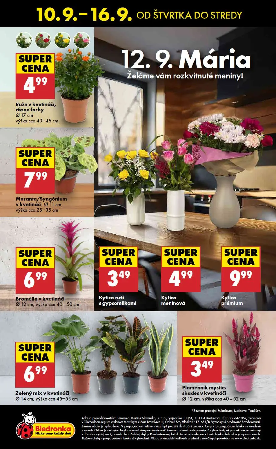 Biedronka leták, strana 48 z 48