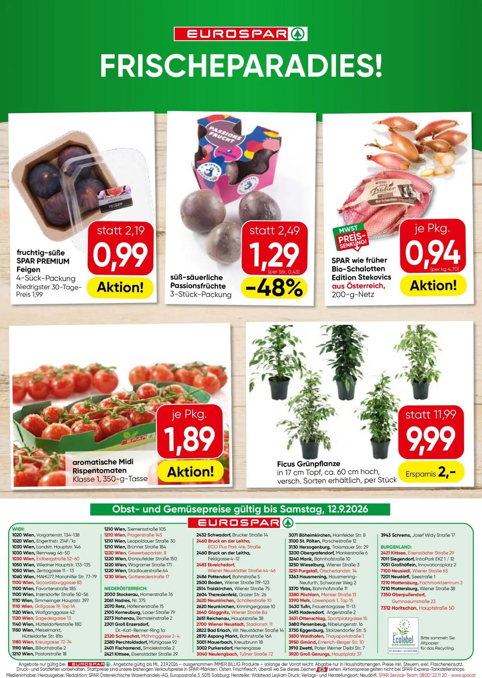 Eurospar Prospekt, Seite 16 von 16 — Ficus Grünpflanze in 17 cm Topf, ca. 60 cm hoch, versch. Sorten erhältlich, fruchtig-sü…