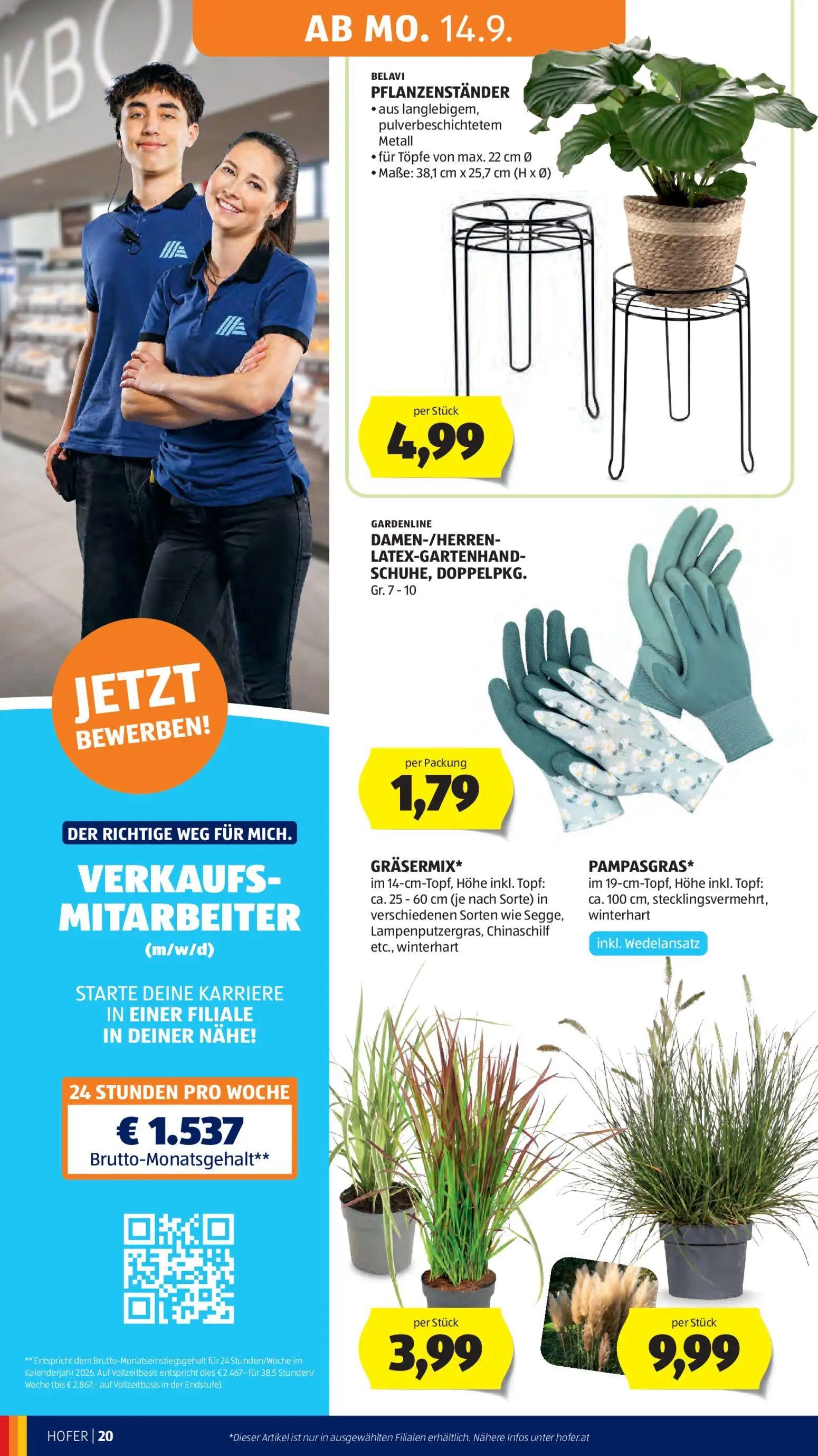 Hofer Prospekt, Seite 30 von 47 — PFLANZENSTÄNDER, DAMEN-/HERREN-LATEX-GARTENHAND-SCHUHE, GRÄSERMIX*