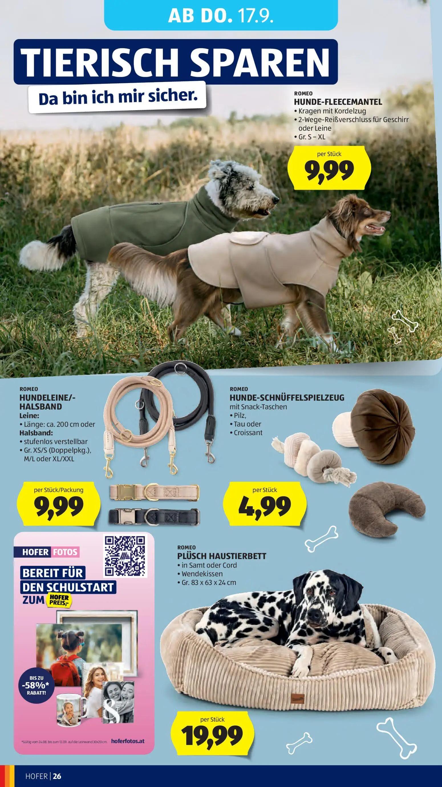 Hofer Prospekt, Seite 36 von 47 — HUNDE-FLEECEMANTEL, HUNDELEINE/- HALSBAND, HUNDE-SCHNÜFFELSPIELZEUG