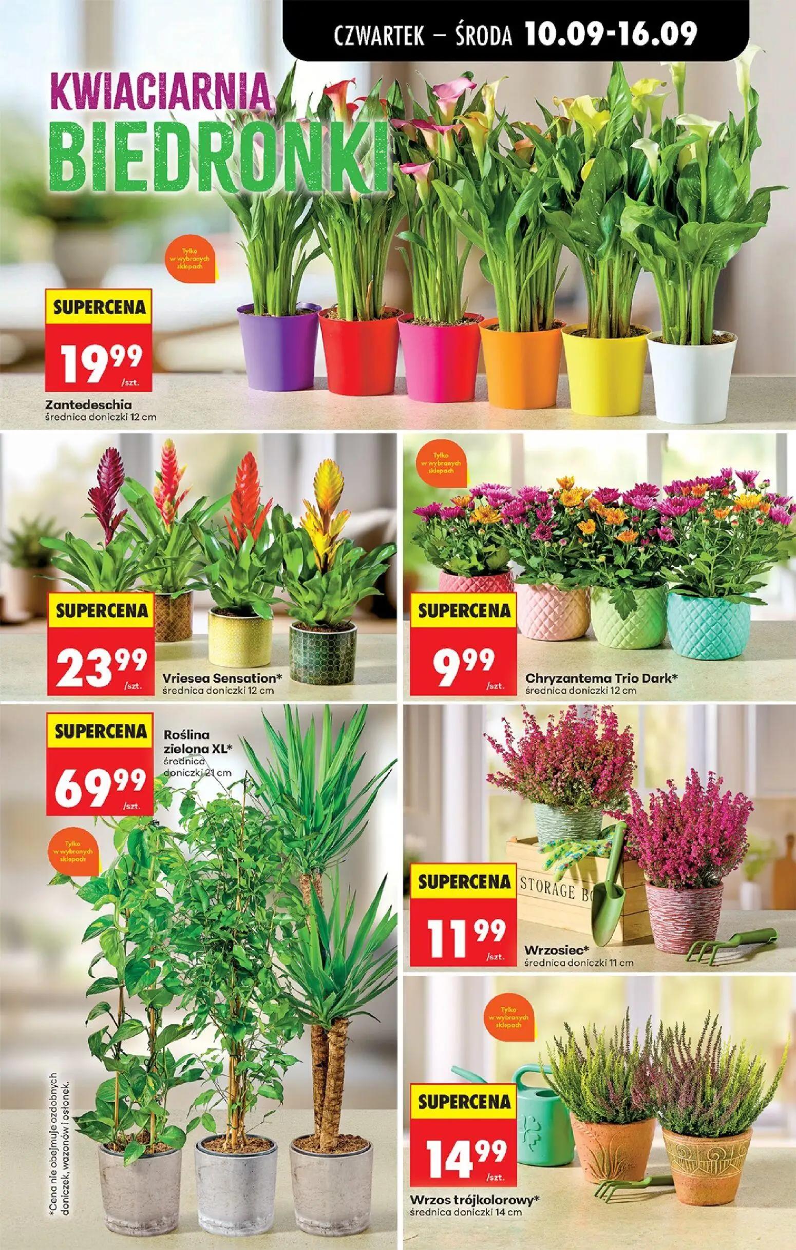Biedronka gazetka, strona 93 z 95