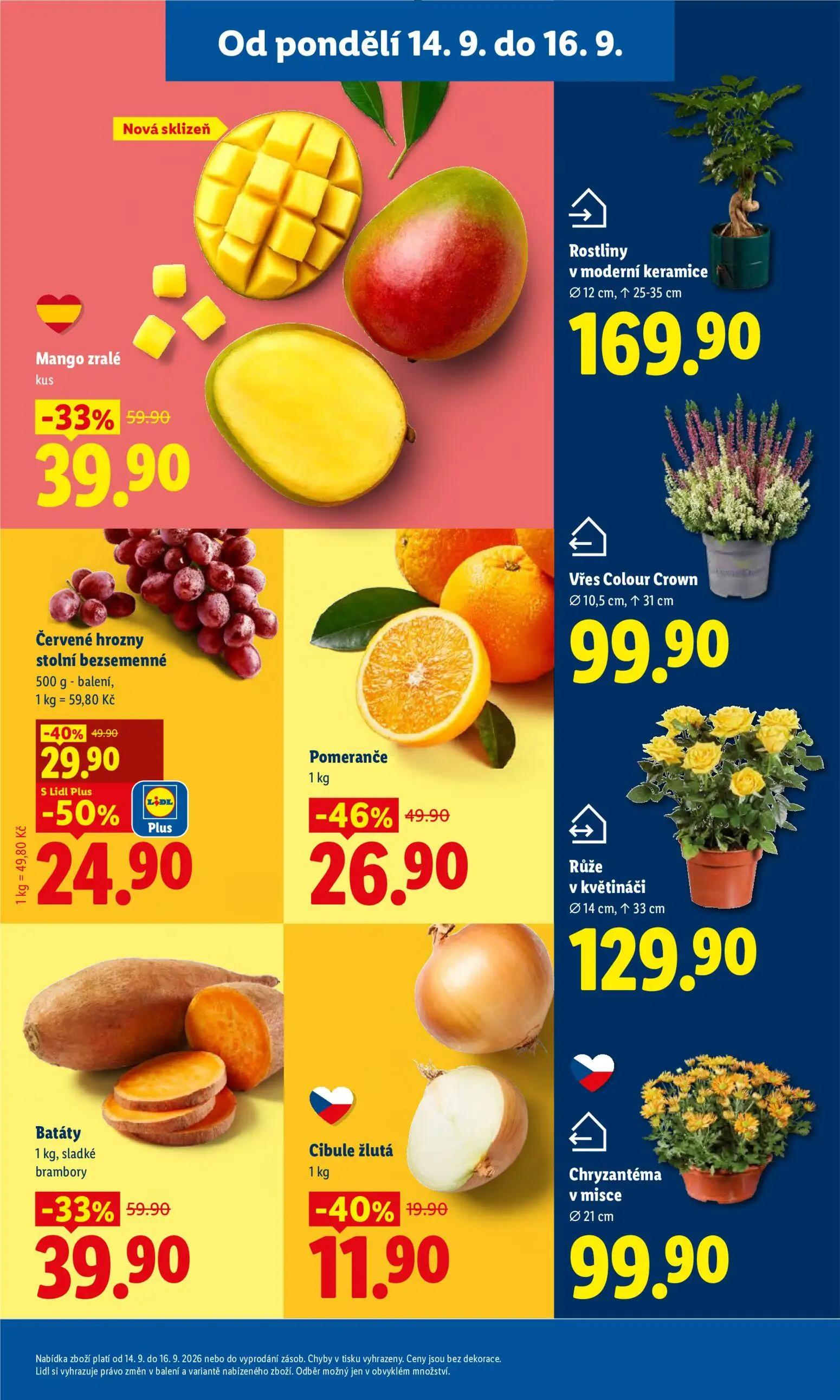 Lidl leták, strana 15 z 53