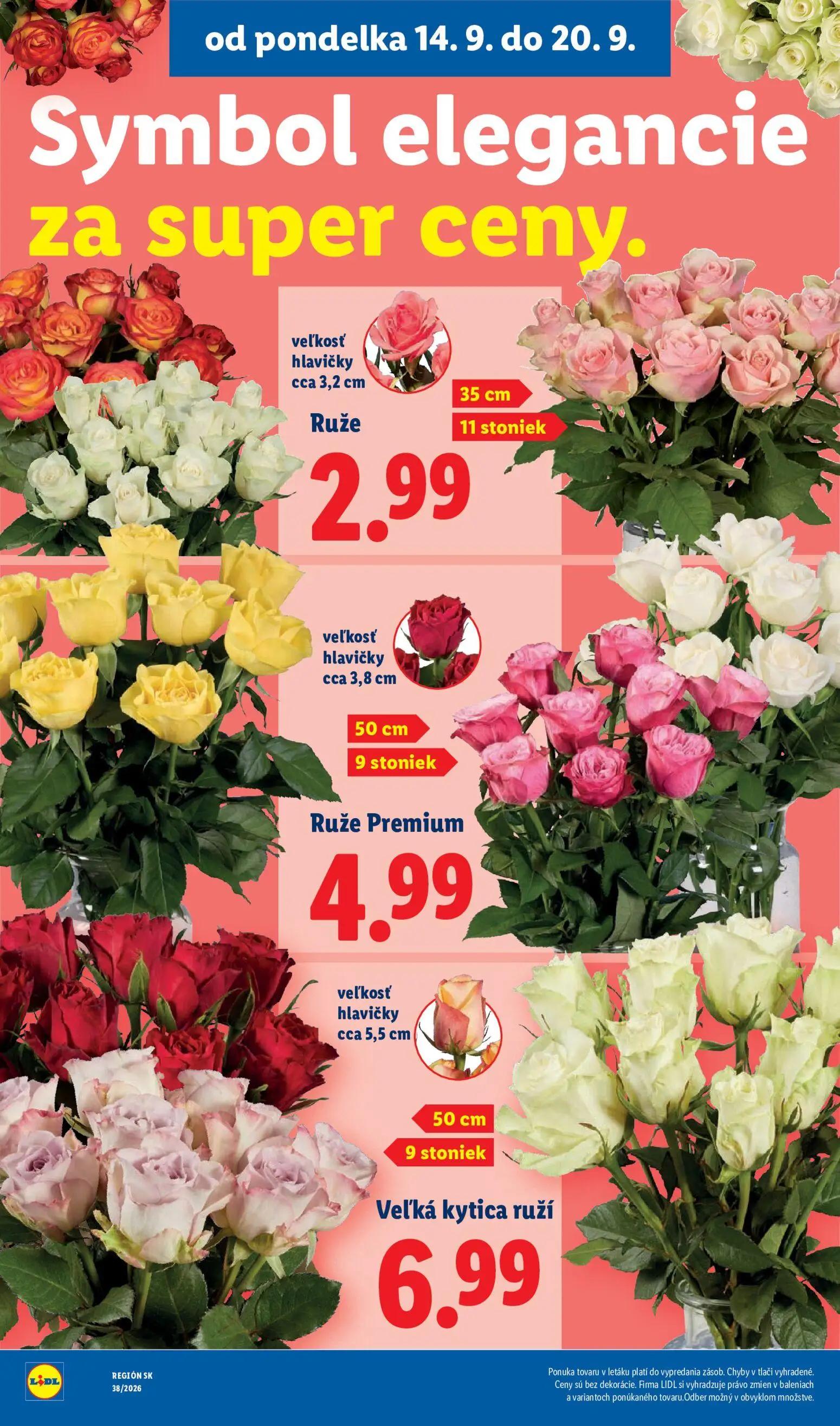 Lidl leták, strana 51 z 105 — Ruže, Ruže Premium, Veľká kytica ruží