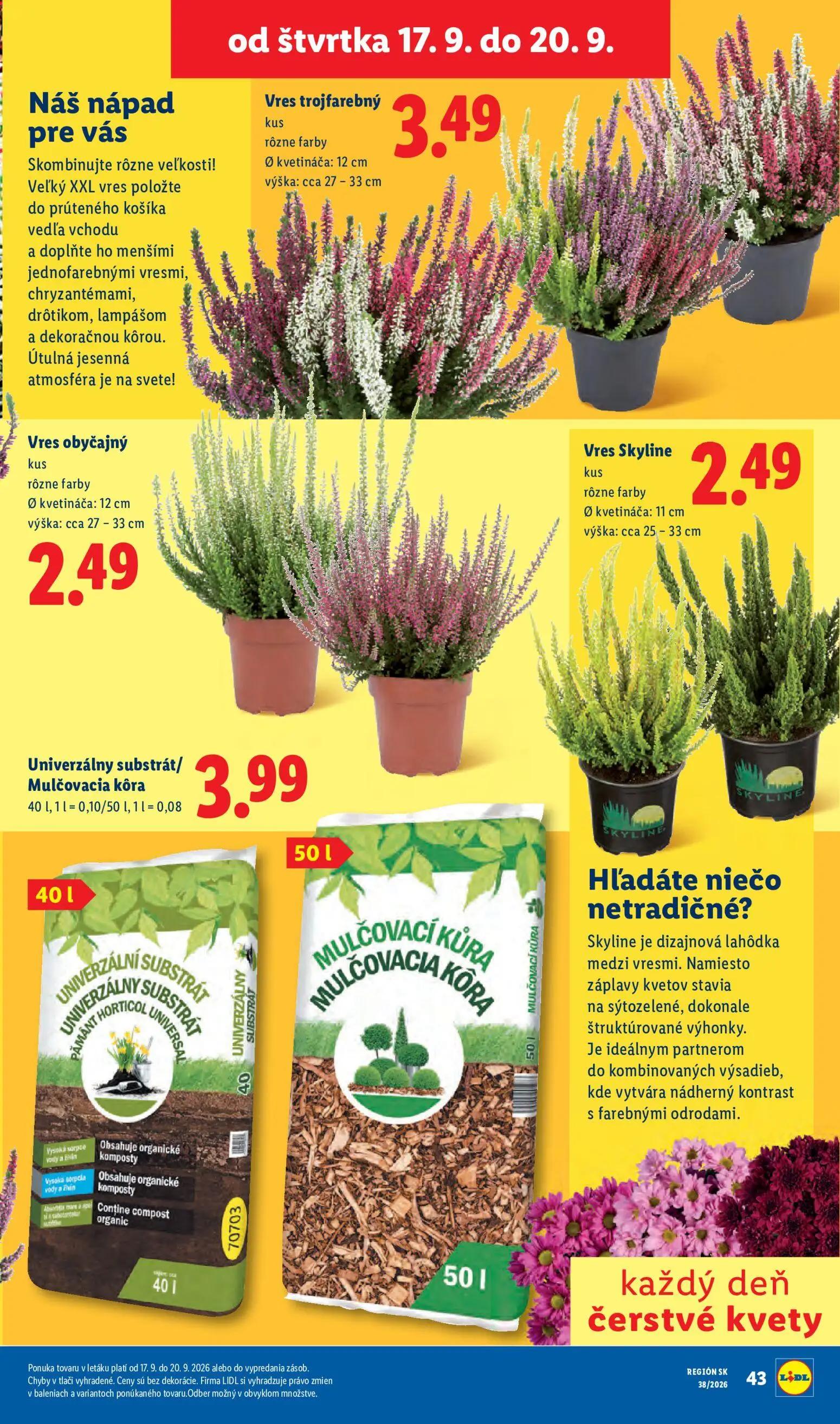Lidl leták, strana 79 z 105 — Vres trojfarebný, Vres obyčajný, Vres Skyline