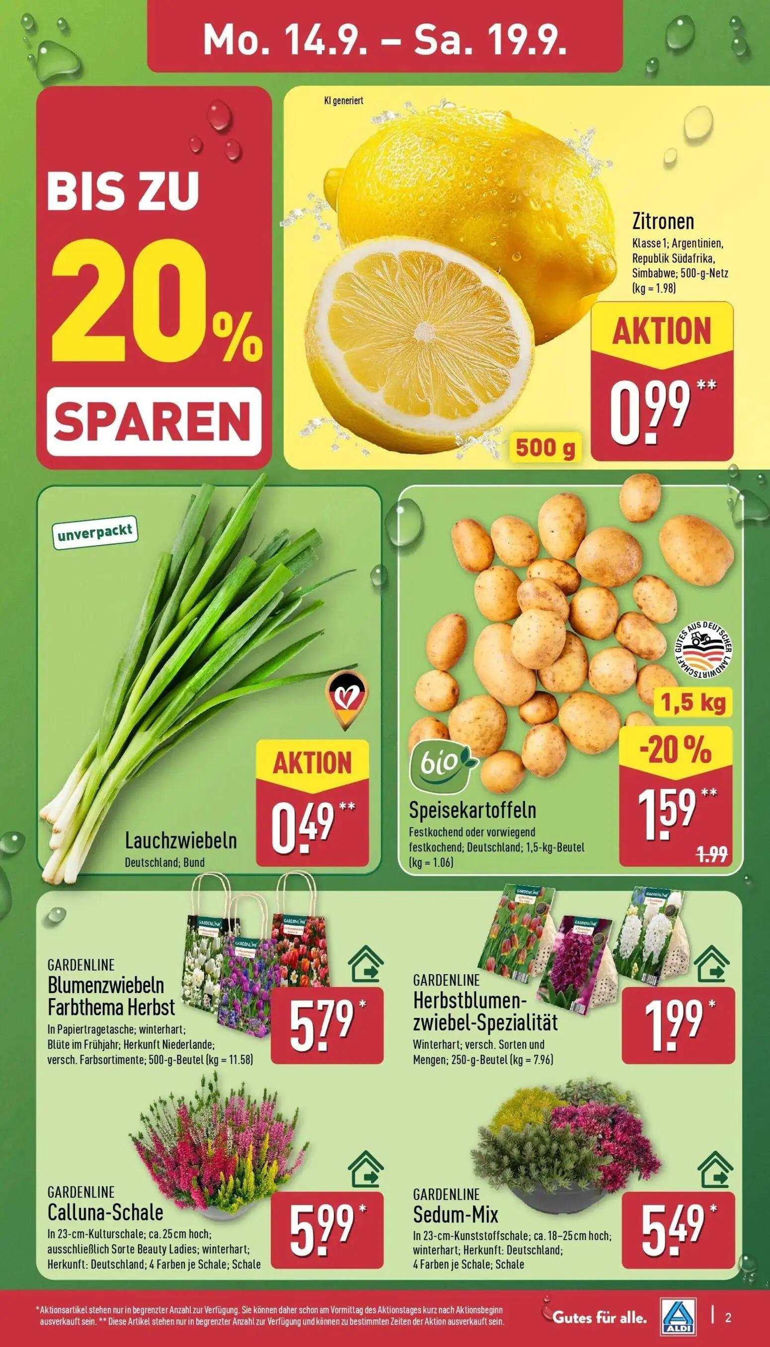 Aldi Nord Prospekt, Seite 3 von 45 — Speisekartoffeln, Zitronen, Lauchzwiebeln
