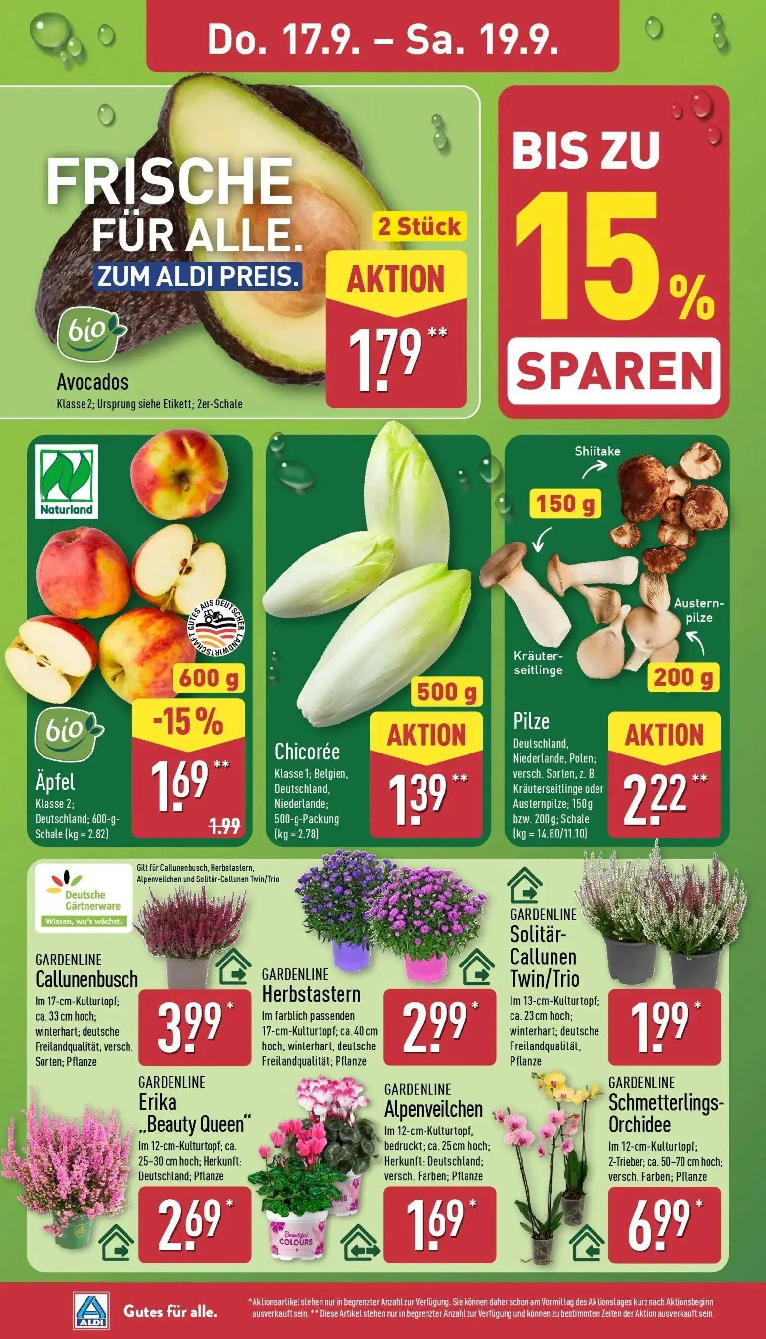 Aldi Nord Prospekt, Seite 30 von 45 — Äpfel, Avocados, Chicorée