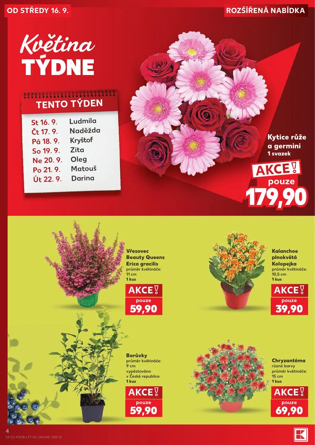 Kaufland leták, strana 4 z 56 — Kytice růže a germini, Vřesovec Beauty Queens Erica gracilis, Kalanchoe plnokvětá Kolopejka