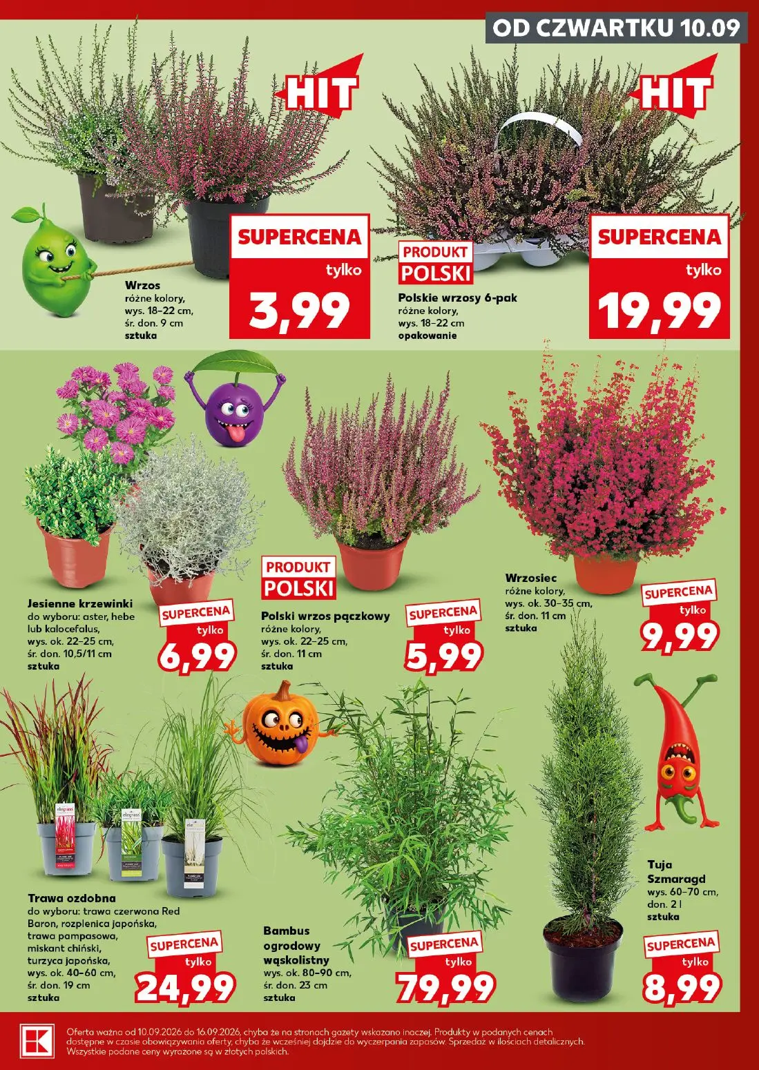 Kaufland gazetka, strona 7 z 28