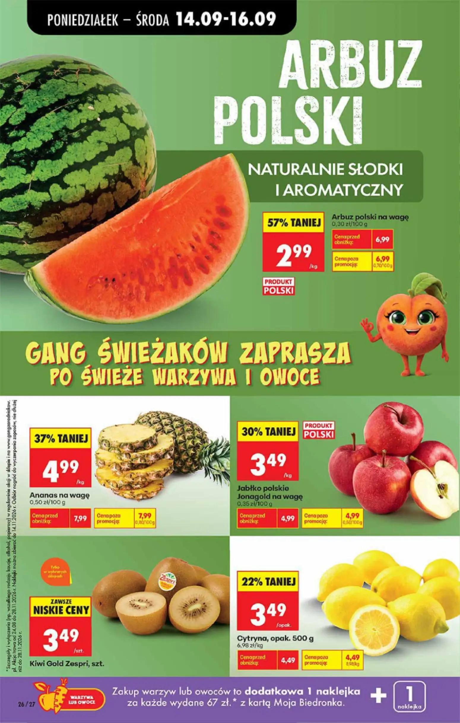 Biedronka gazetka, strona 11 z 16 — Arbuz polski na wagę, Ananas na wagę, Jabłko polskie Jonagold na wagę