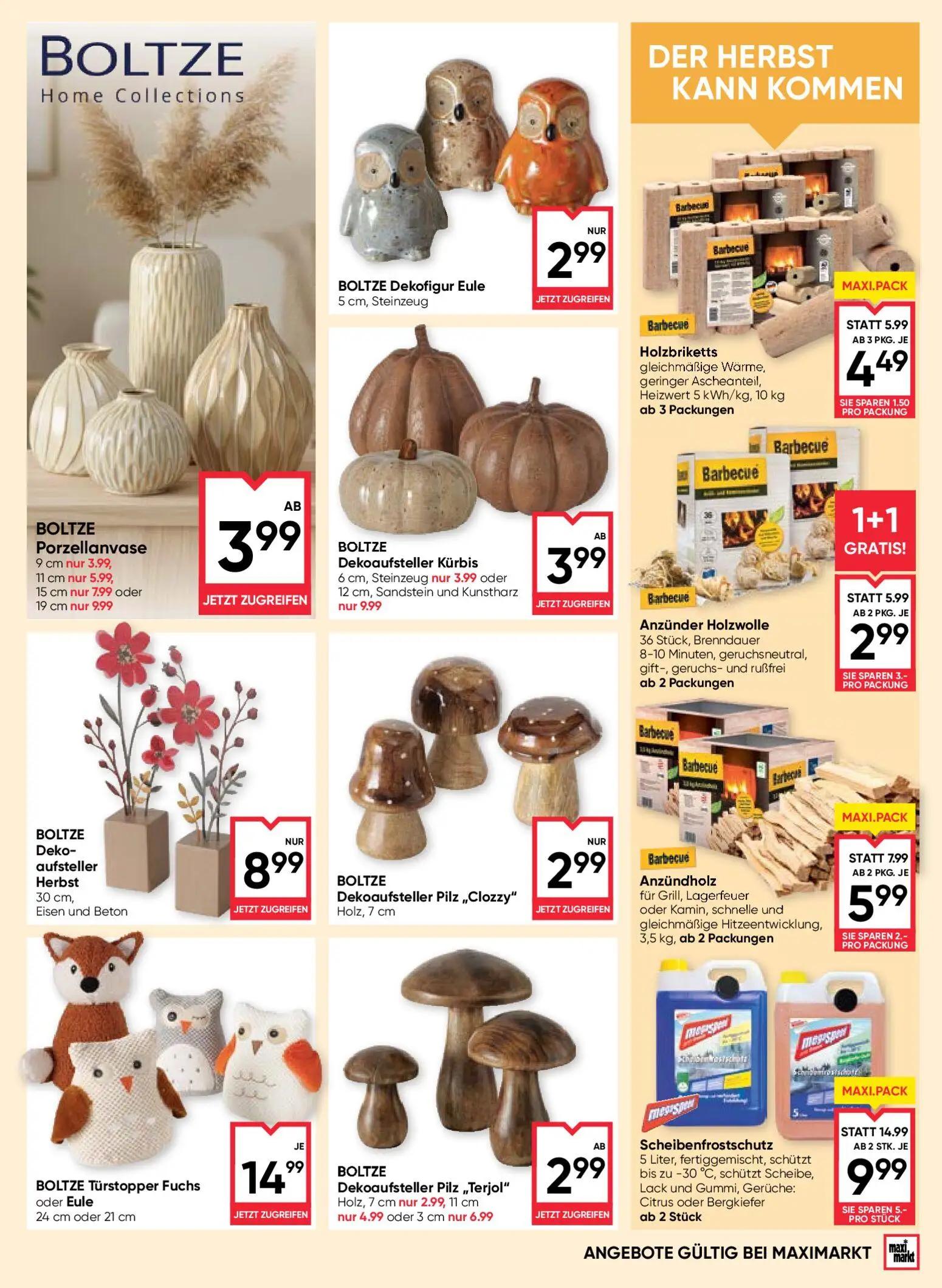 Maximarkt Prospekt, Seite 21 von 24 — Porzellanvase, Dekoaufsteller Kürbis, Scheibenfrostschutz