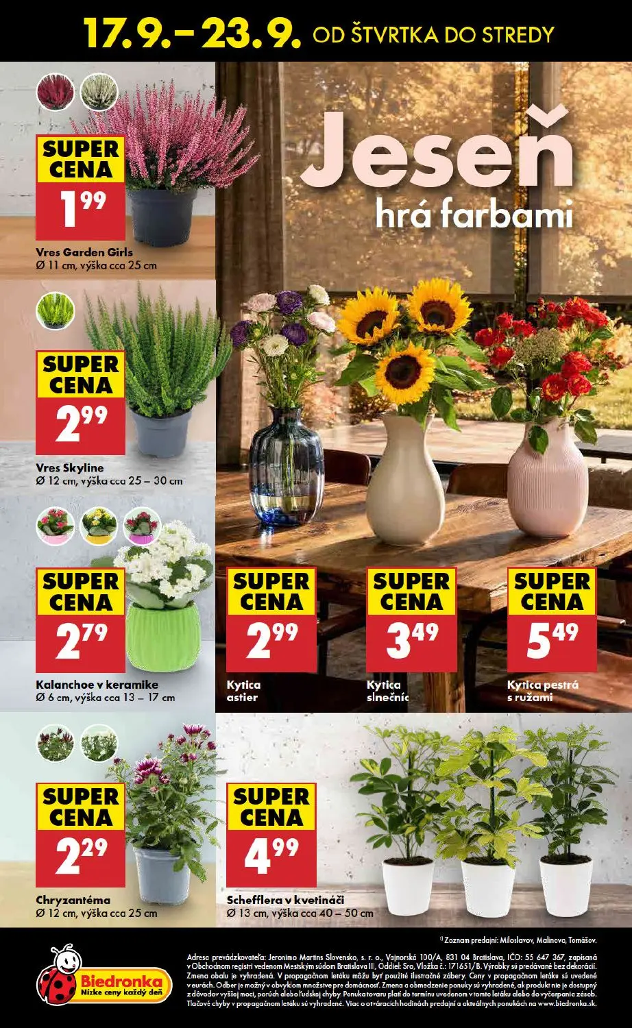 Biedronka leták, strana 48 z 48 — Vres Garden Girls, Vres Skyline, Kalanchoe v keramike