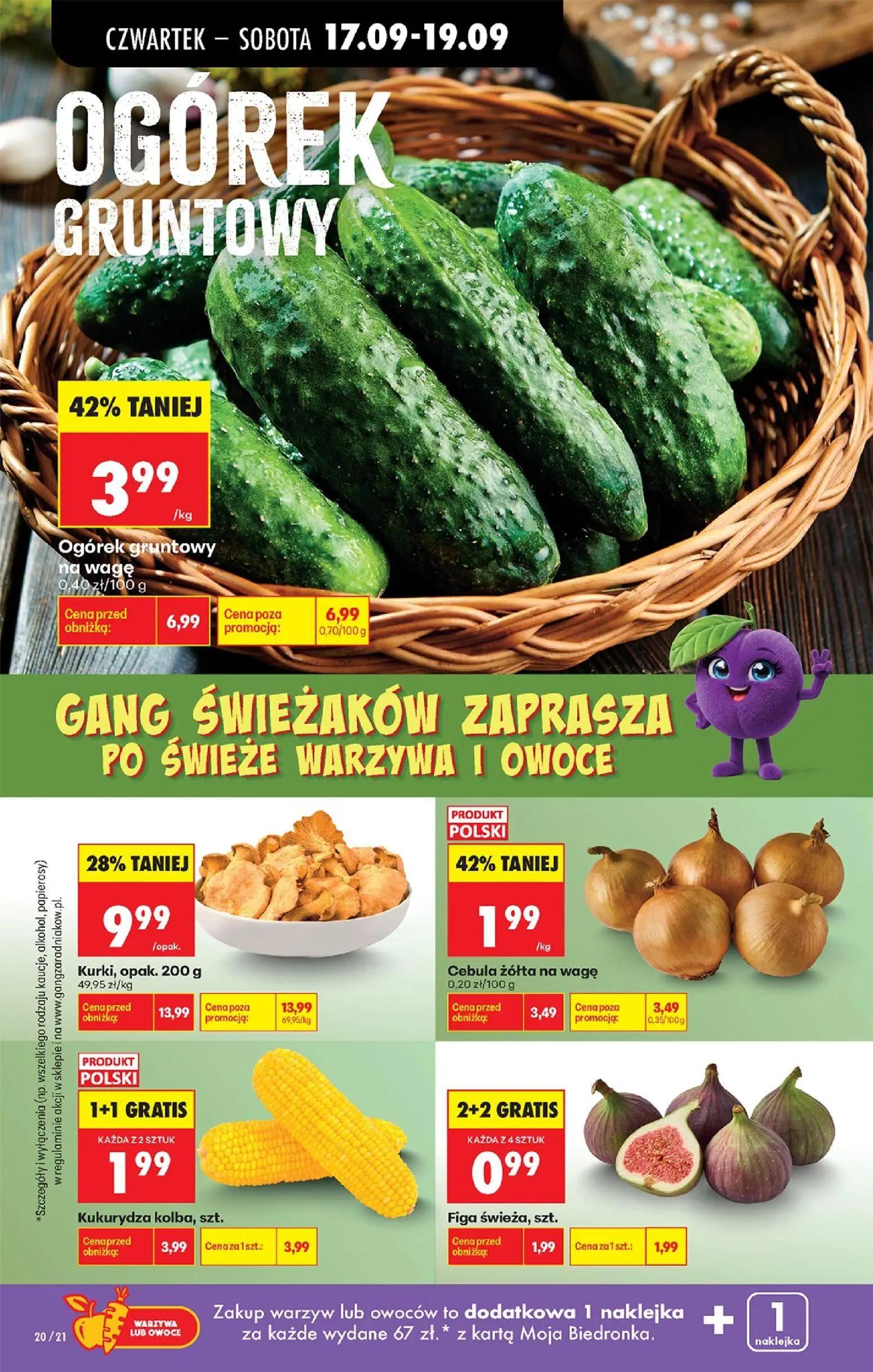 Biedronka gazetka, strona 30 z 85 — Kurki, opak., Ogórek gruntowy, Kukurydza kolba, szt.