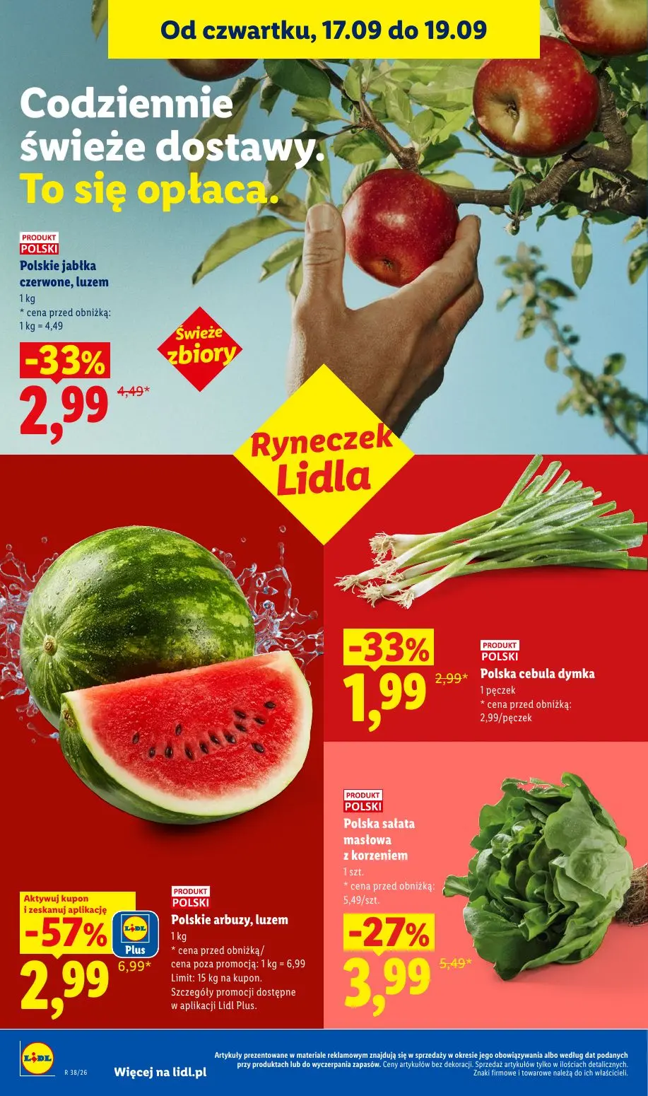 Lidl gazetka, strona 42 z 95 — Polskie arbuzy, luzem, Polskie jabłka czerwone, luzem, Polska sałata masłowa z korzeniem