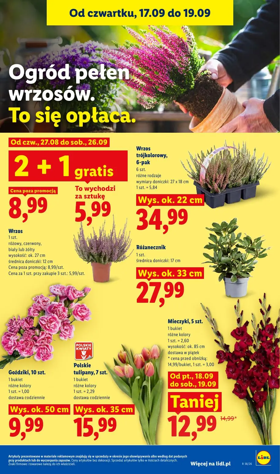 Lidl gazetka, strona 85 z 95 — Wrzos, Mieczyki, 5 szt., Wrzos trójkolorowy, 6-pak