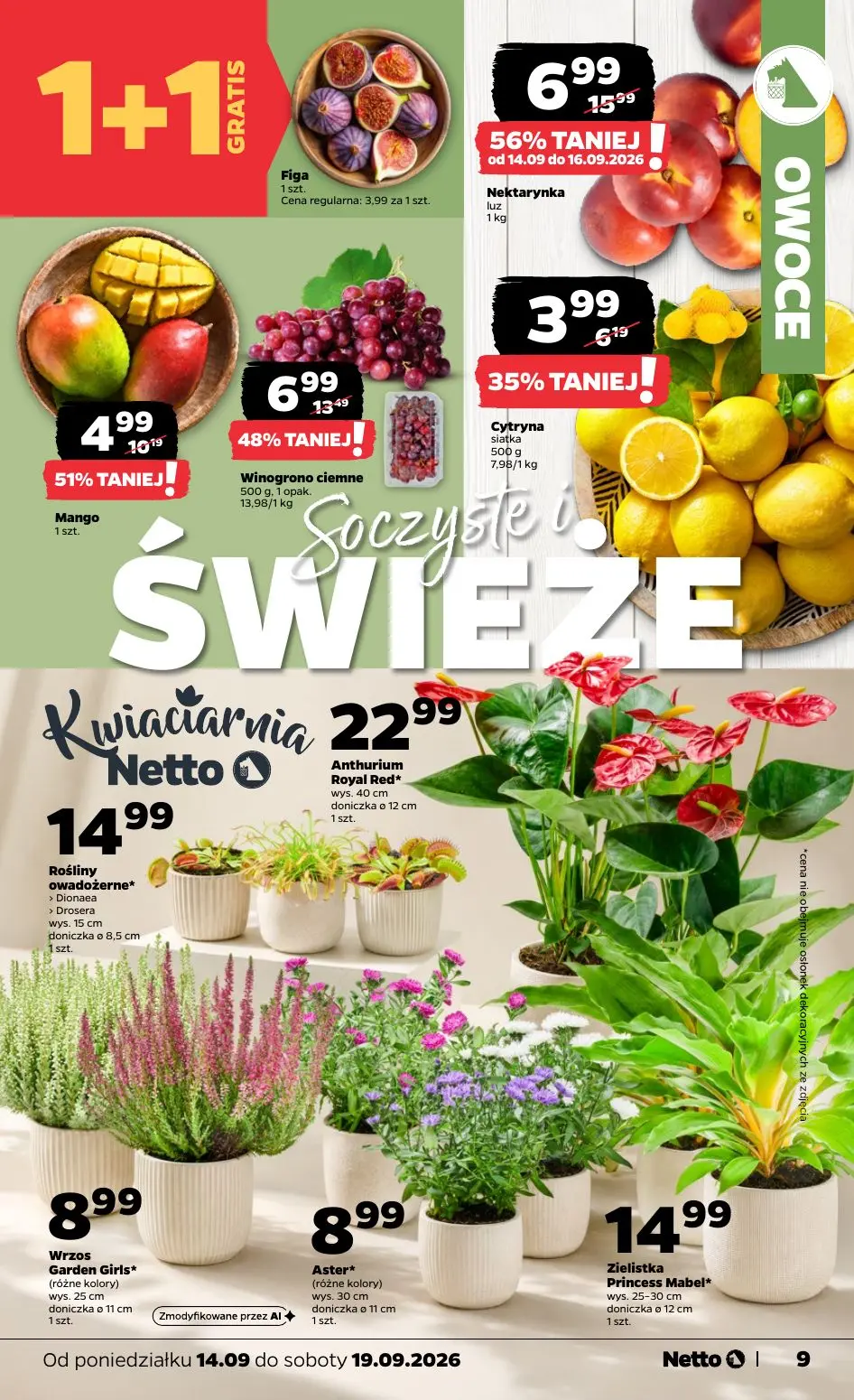 NETTO gazetka, strona 9 z 39 — Nektarynka, Winogrono ciemne, Mango
