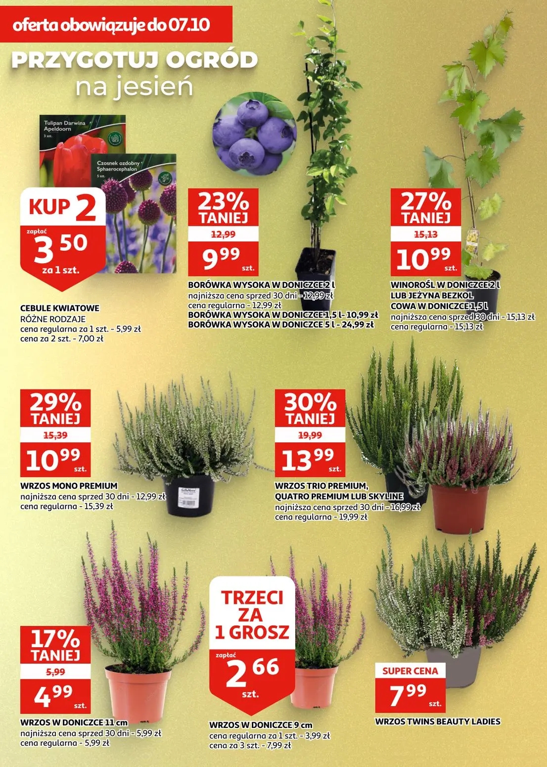 Auchan gazetka, strona 25 z 28 — WRZOS TRIO PREMIUM, QUATRO PREMIUM LUB SKYLINE, WRZOS MONO PREMIUM, WINOROŚL W DONICZCE LUB…