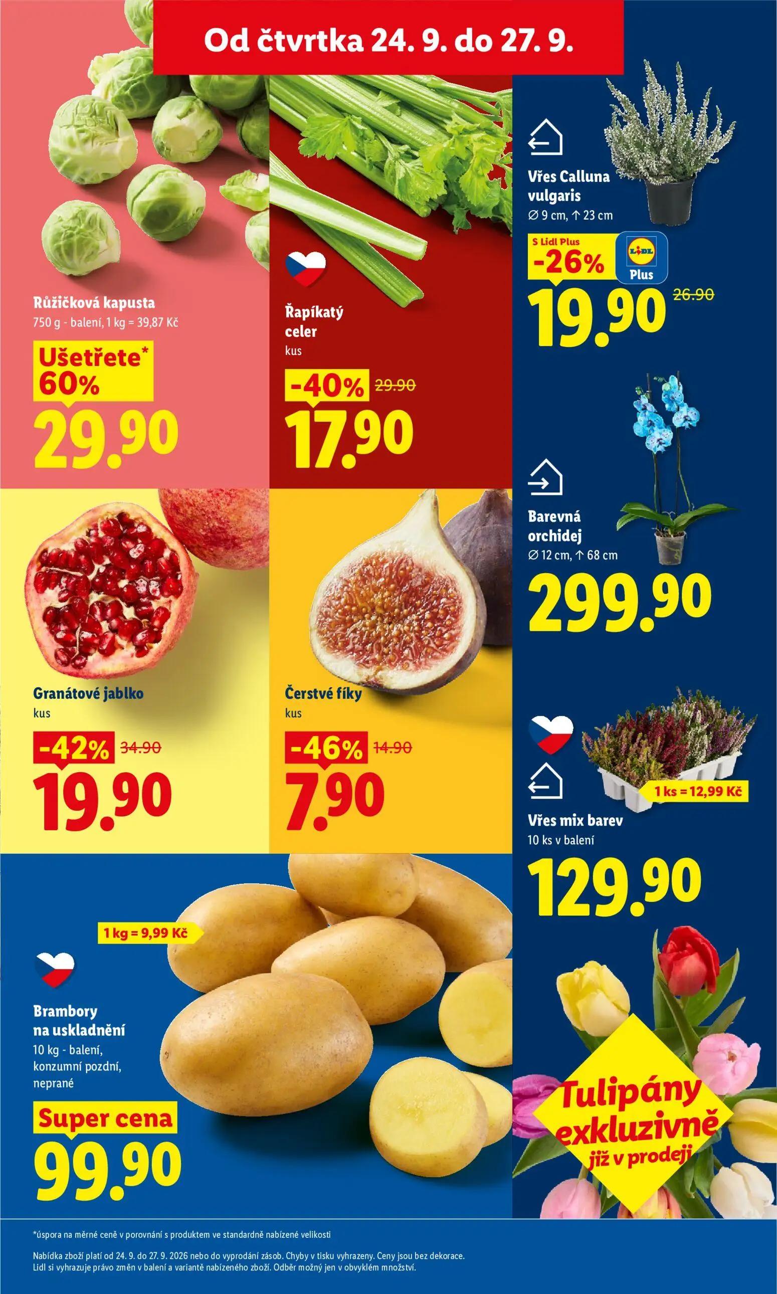 Lidl leták, strana 15 z 47 — Růžičková kapusta, Granátové jablko, Řapíkatý celer